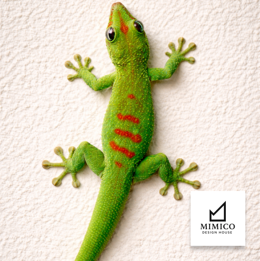 Quantum Revolution: How Max Planck Tapped Into the Universe’s Zero-Point Mysteries