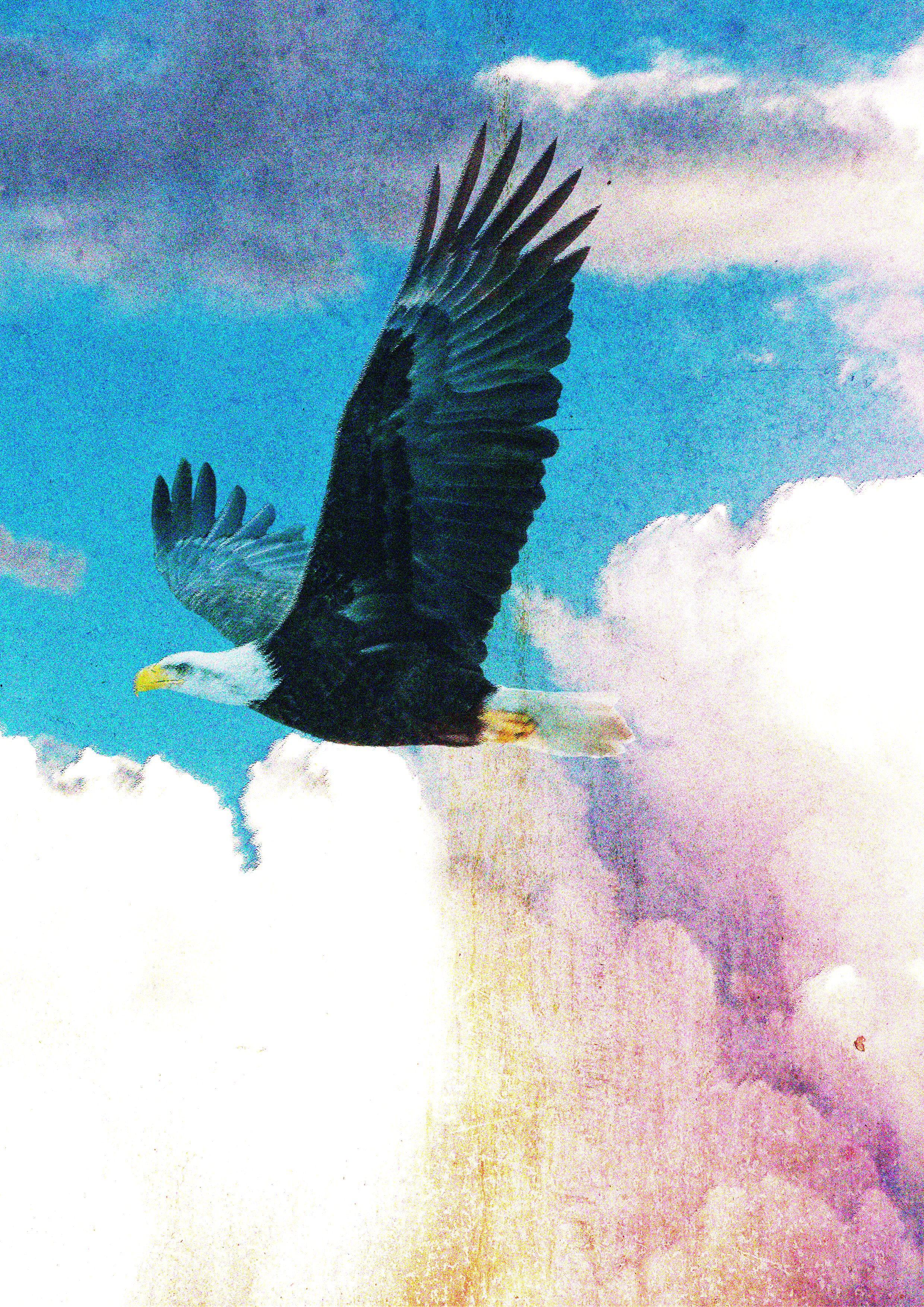 eagle.png