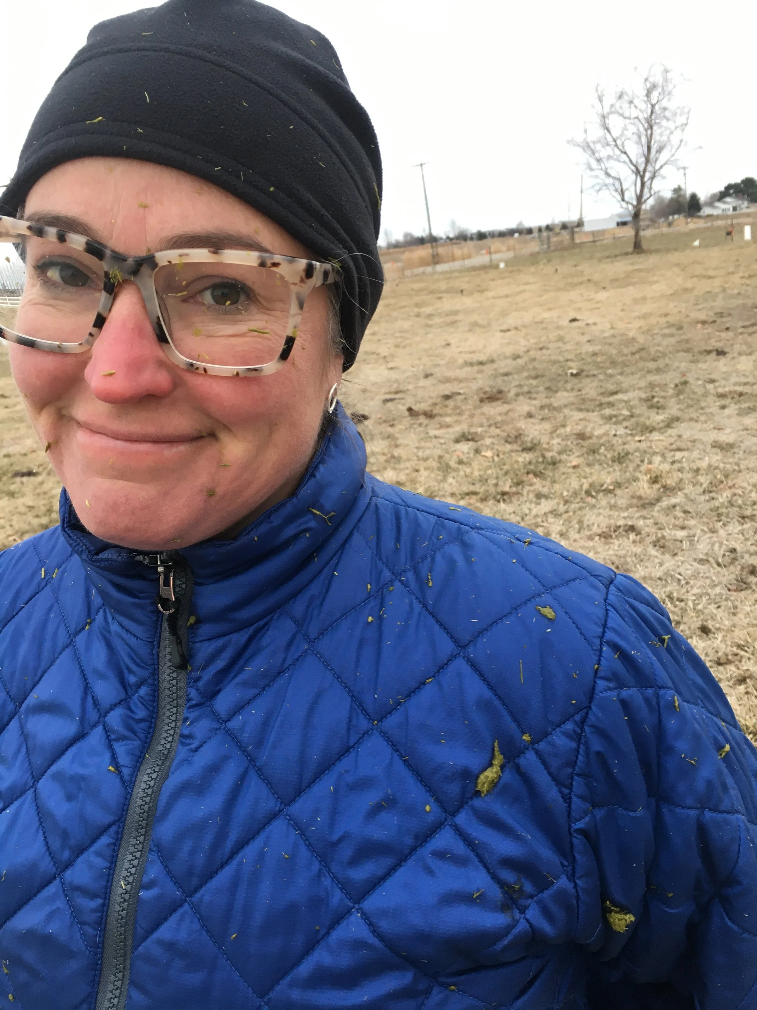 Do Camels Really Spit? 