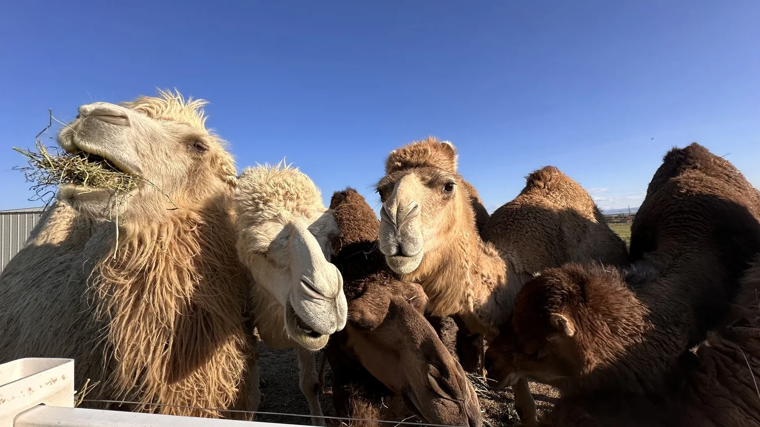 CONTACT | Explore and Book Now - Unique Ranch Experiences ...
