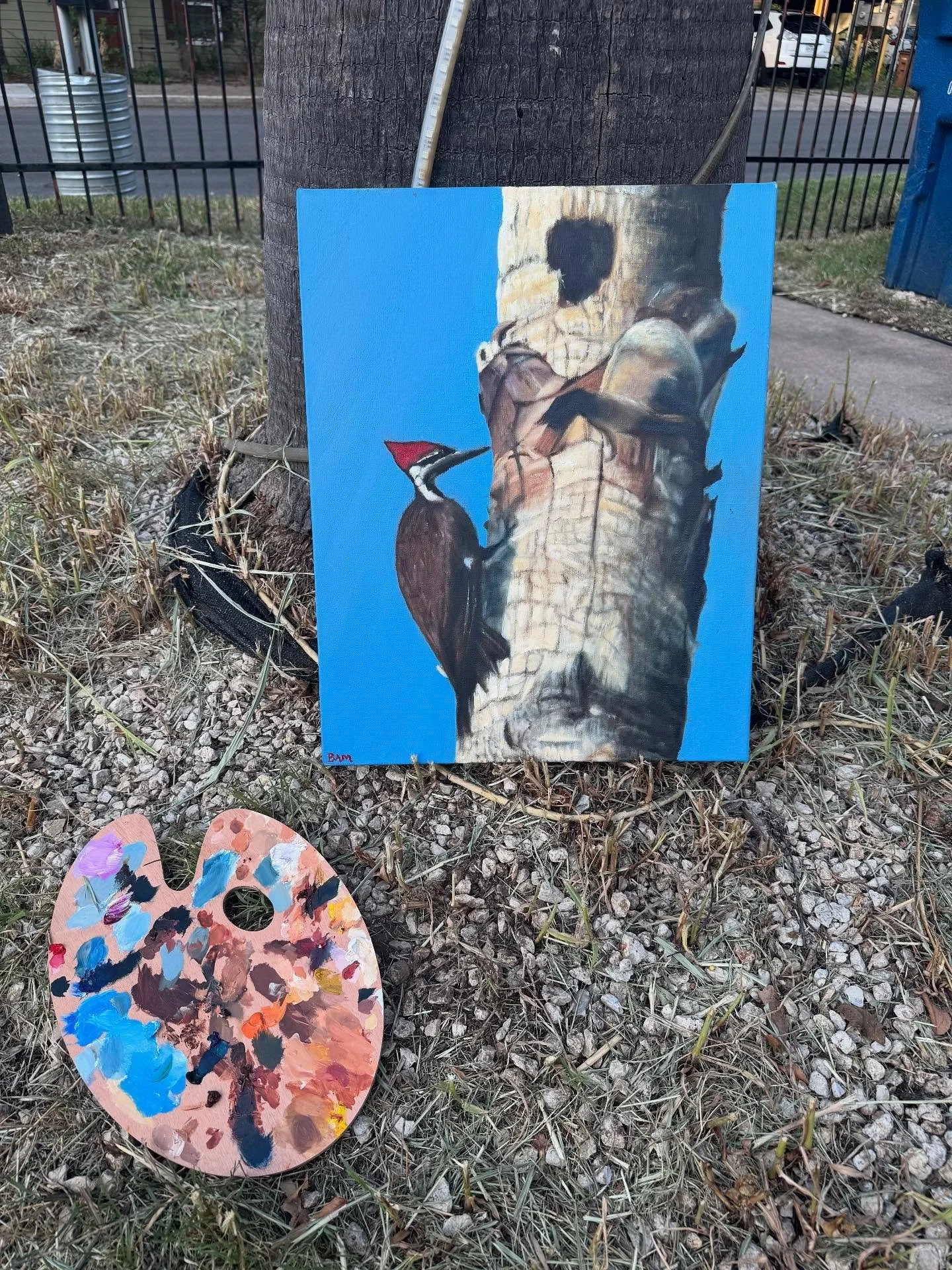 Inspiration can come from anywhere - even the giant dead palm tree in your front yard. A few months back I was on my porch and a serendipitous moment happened. One of my favorite birds, (I’m a bird nerd) the pileated wood pecker, just happened