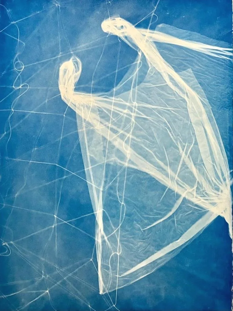 Available Soon - Manta Cyanotypes