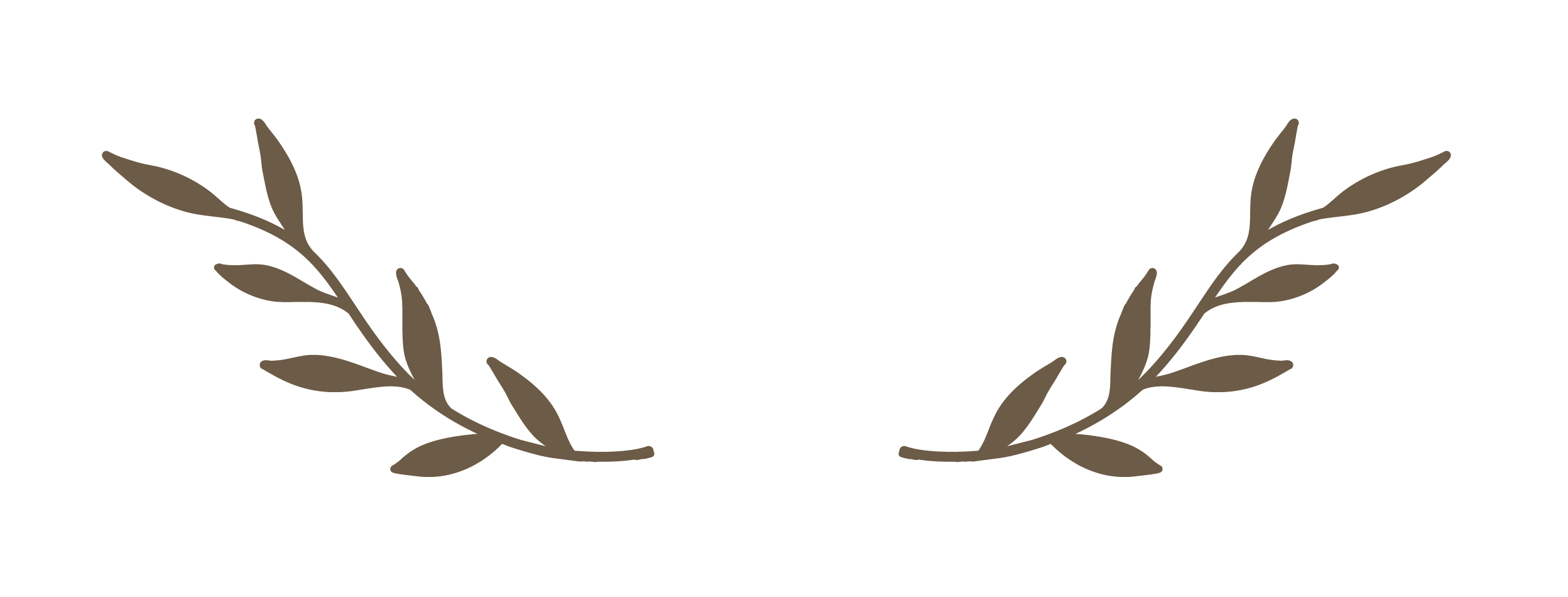 Brown laurel branch illustration with leaves