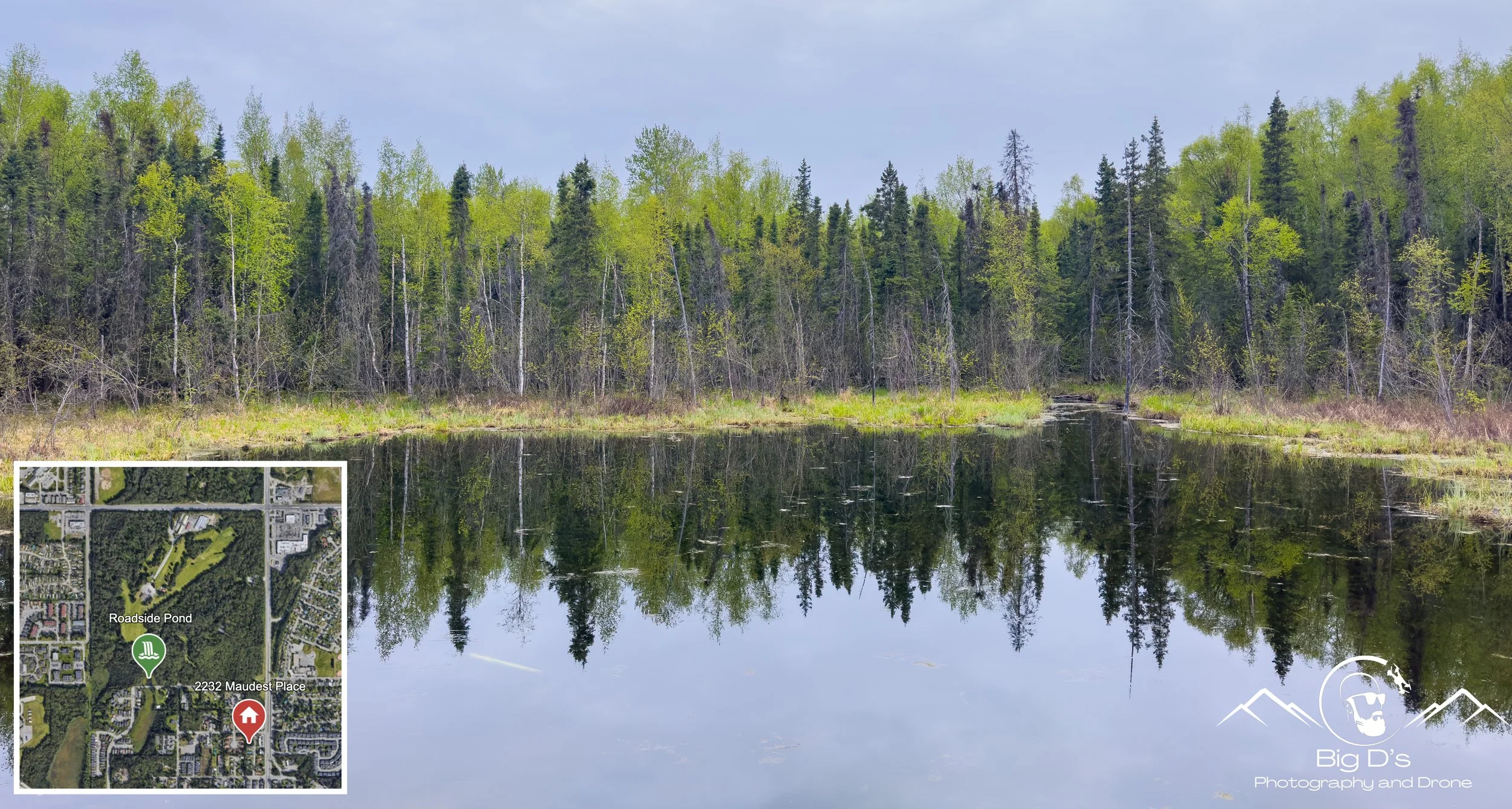 CA8) Russian Jack Springs Park Pond-1.jpg