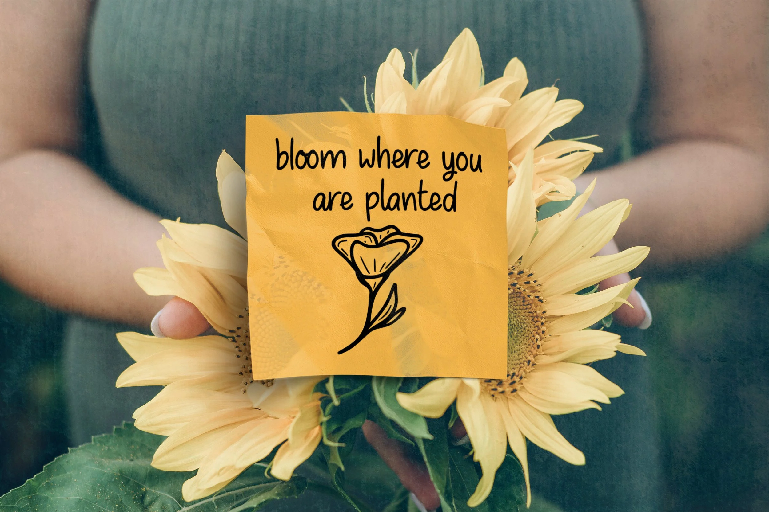 bloom-quote.jpg