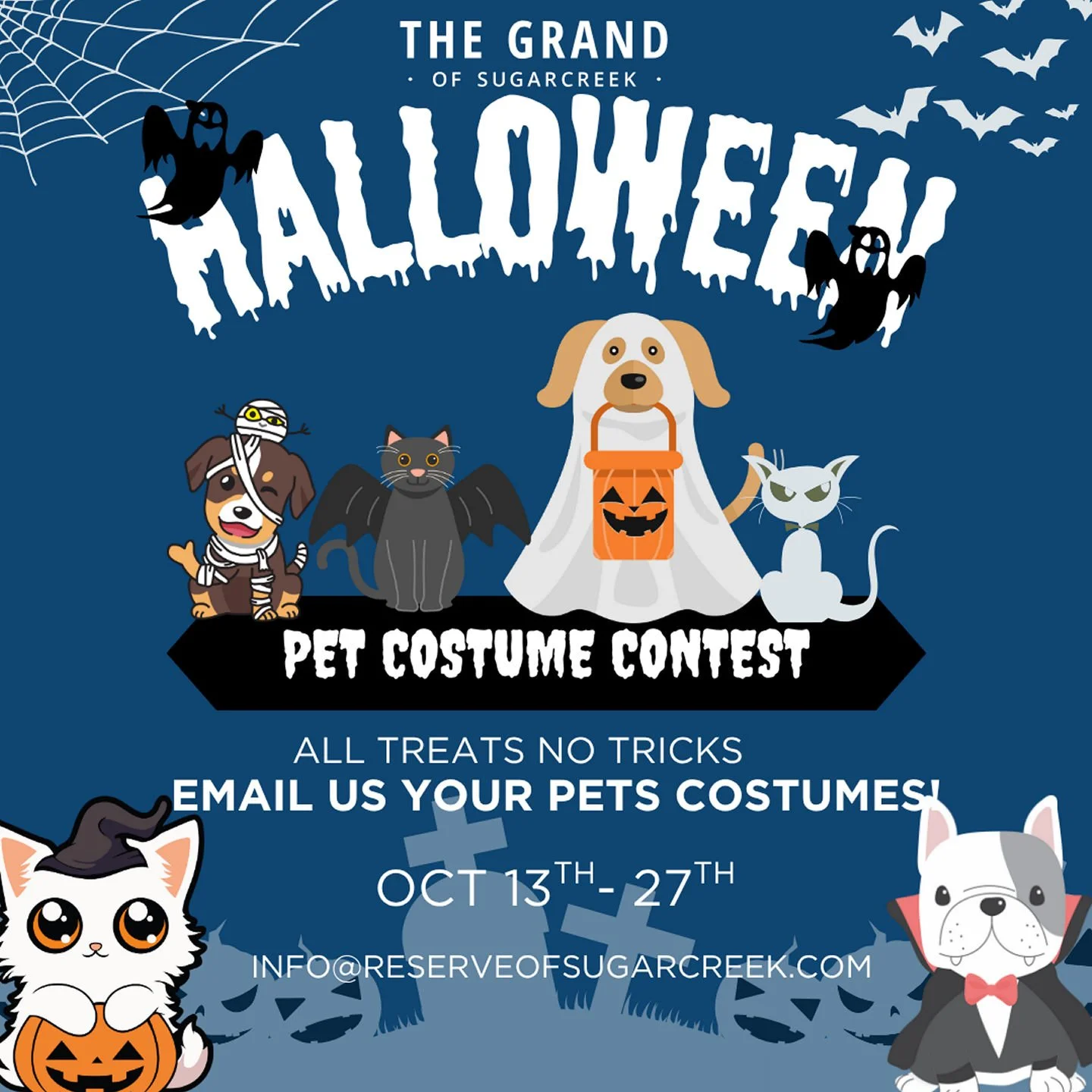 ๐๐พ Pet Costume Contest Alert! ๐พ๐Think your furry friend has the cutest, spookiest, or funniest costume around? We want to see it! ๐ป๐ฆด๐ธ Email us a photo of your pet in their BEST costume between October 13–27 for a chance to win bragging r