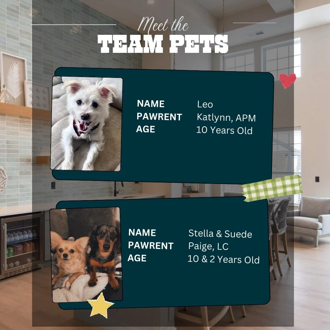 🐾✨ Meet Our Team Pets! ✨🐾

We know our residents have the cutest pups around, so it&rsquo;s time to show them off! 💕

We&rsquo;re excited to introduce our Team Pets and invite YOUR furry friend to join the spotlight!

📸 Want your dog featured as 