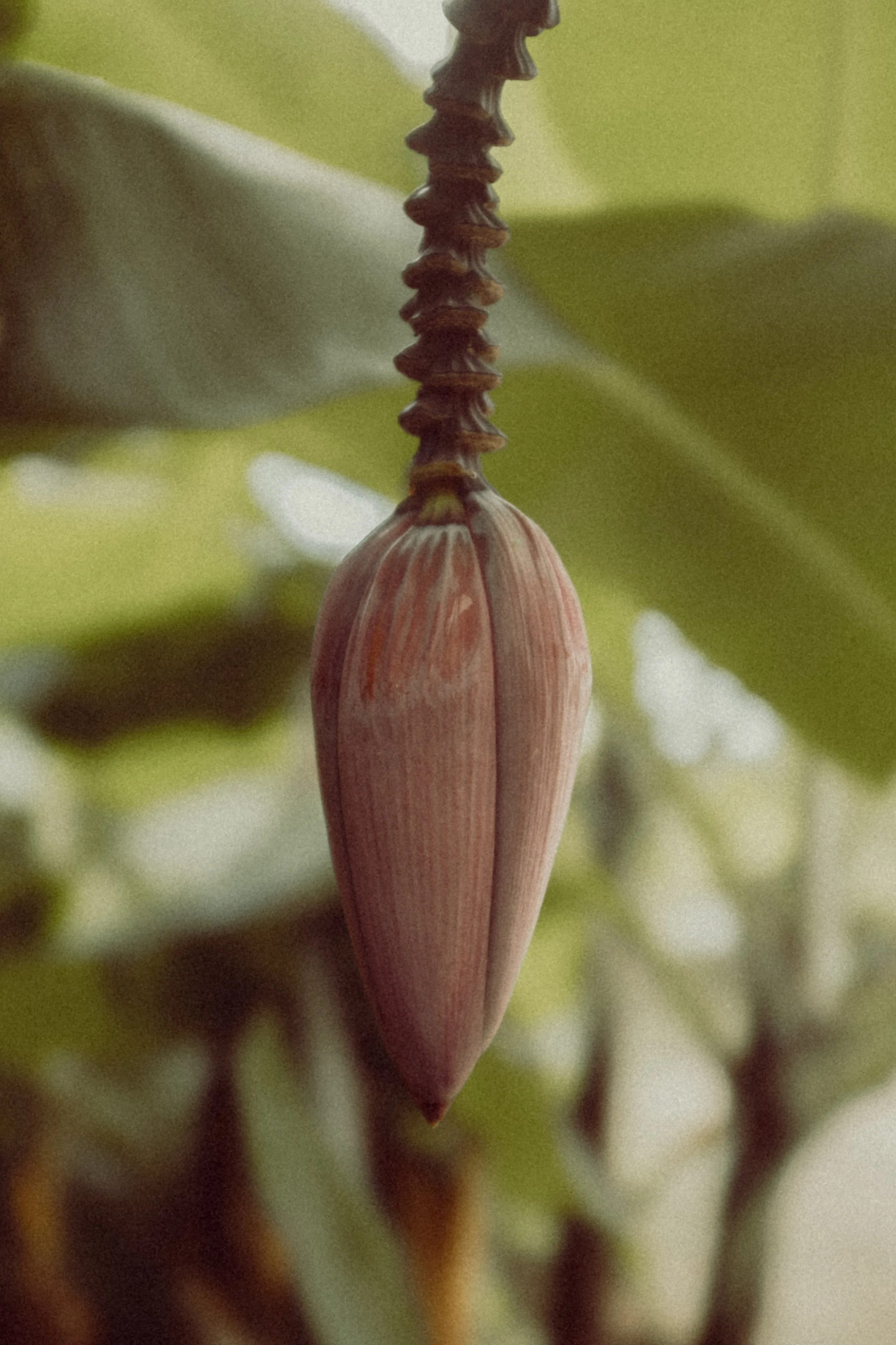 DSCF1200.jpg