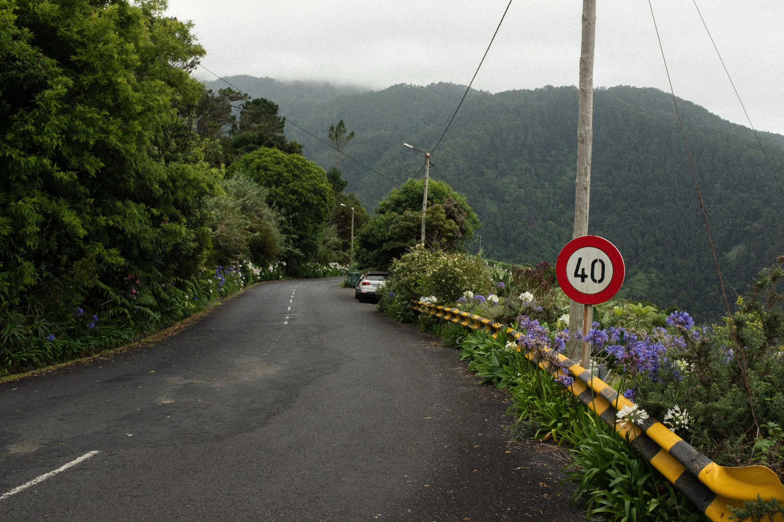 DSCF8503.jpg
