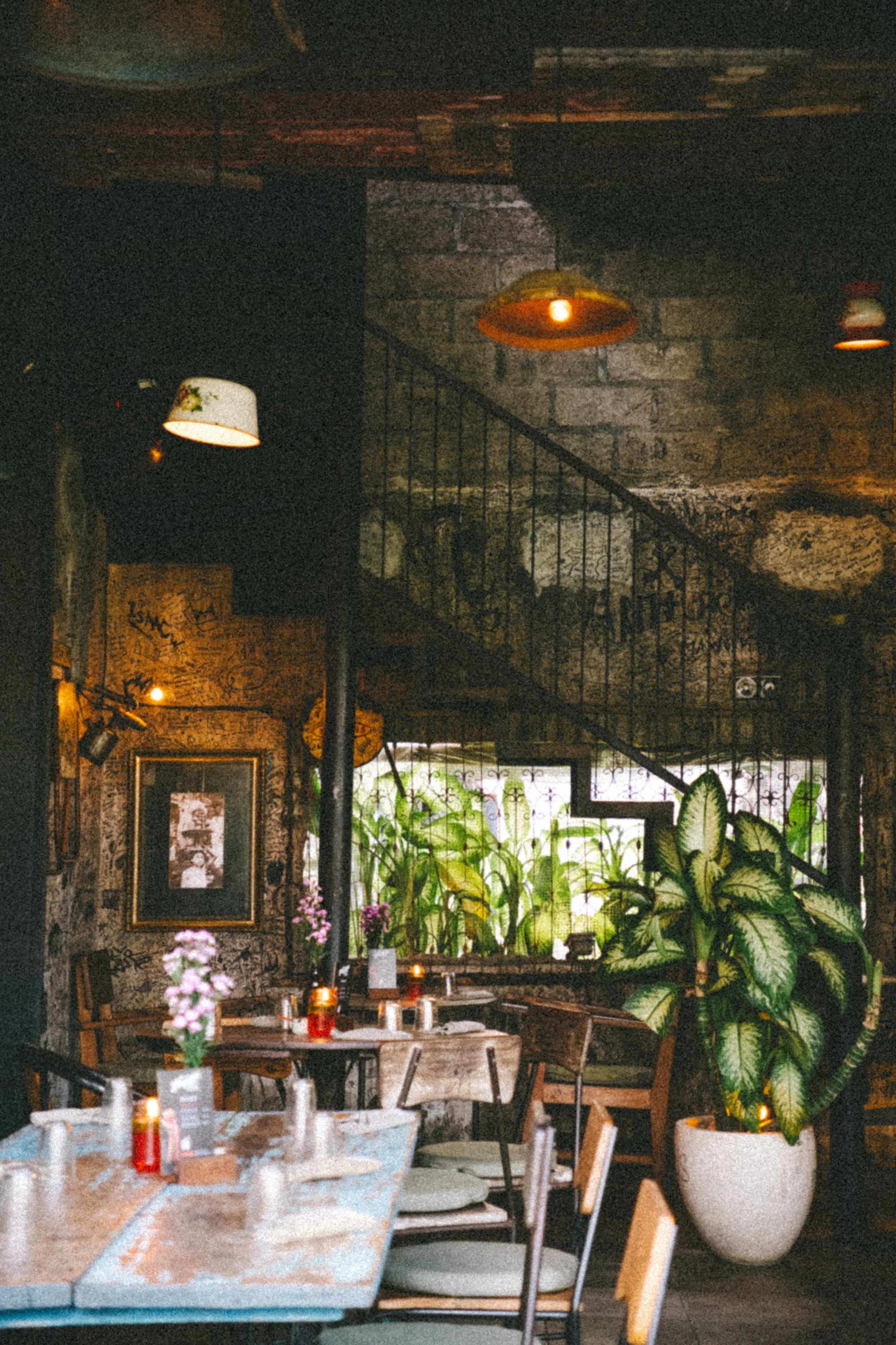 DSCF0391-2.jpg