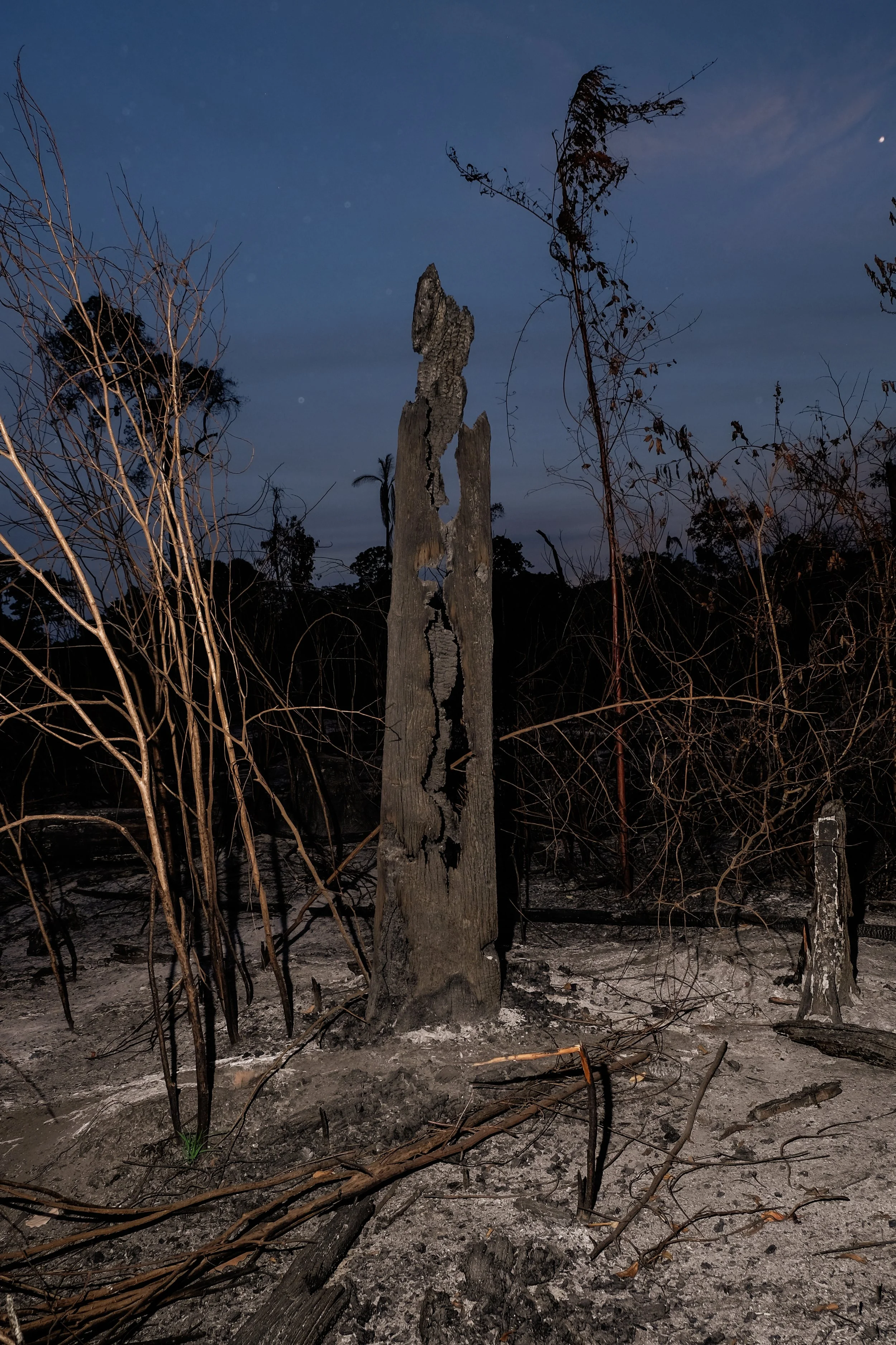 Destruição e vegetação queimada dentro da Floresta Nacional do Jamanxim, no estado do Pará.