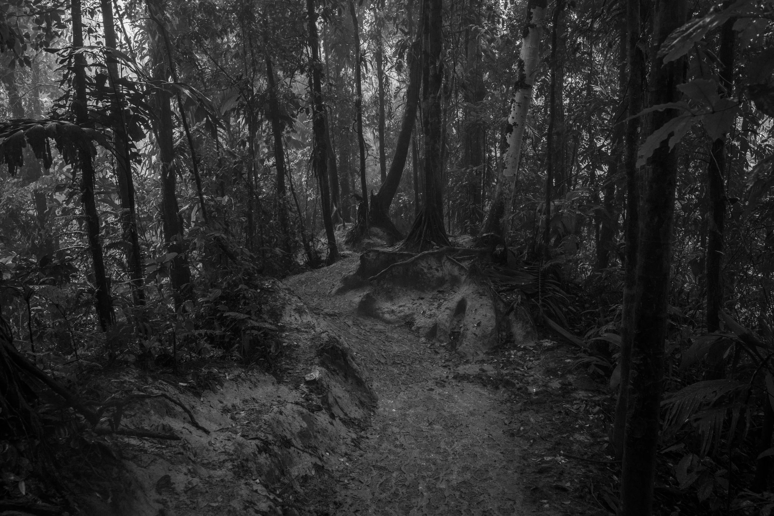 The muddy terrain in the Darien jungle along the hill leading to the border with Panama.