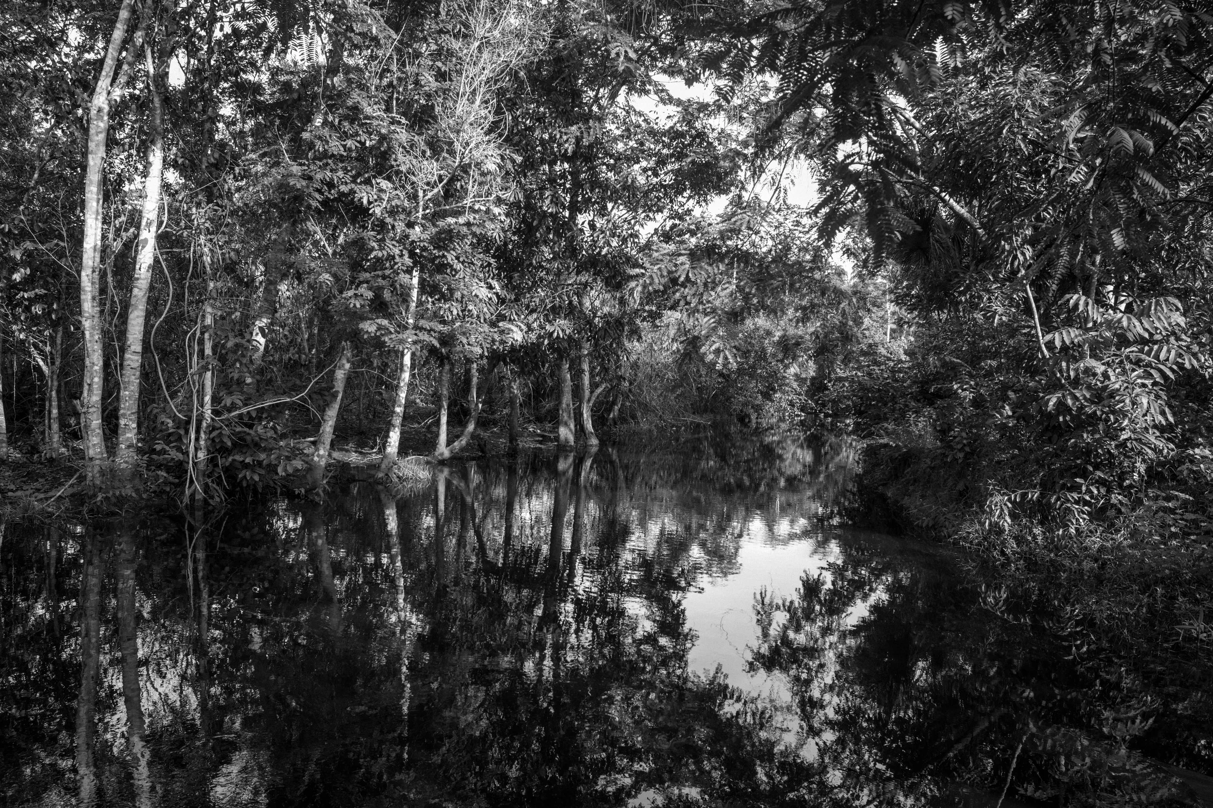 Arariboia, Brazil. 2019