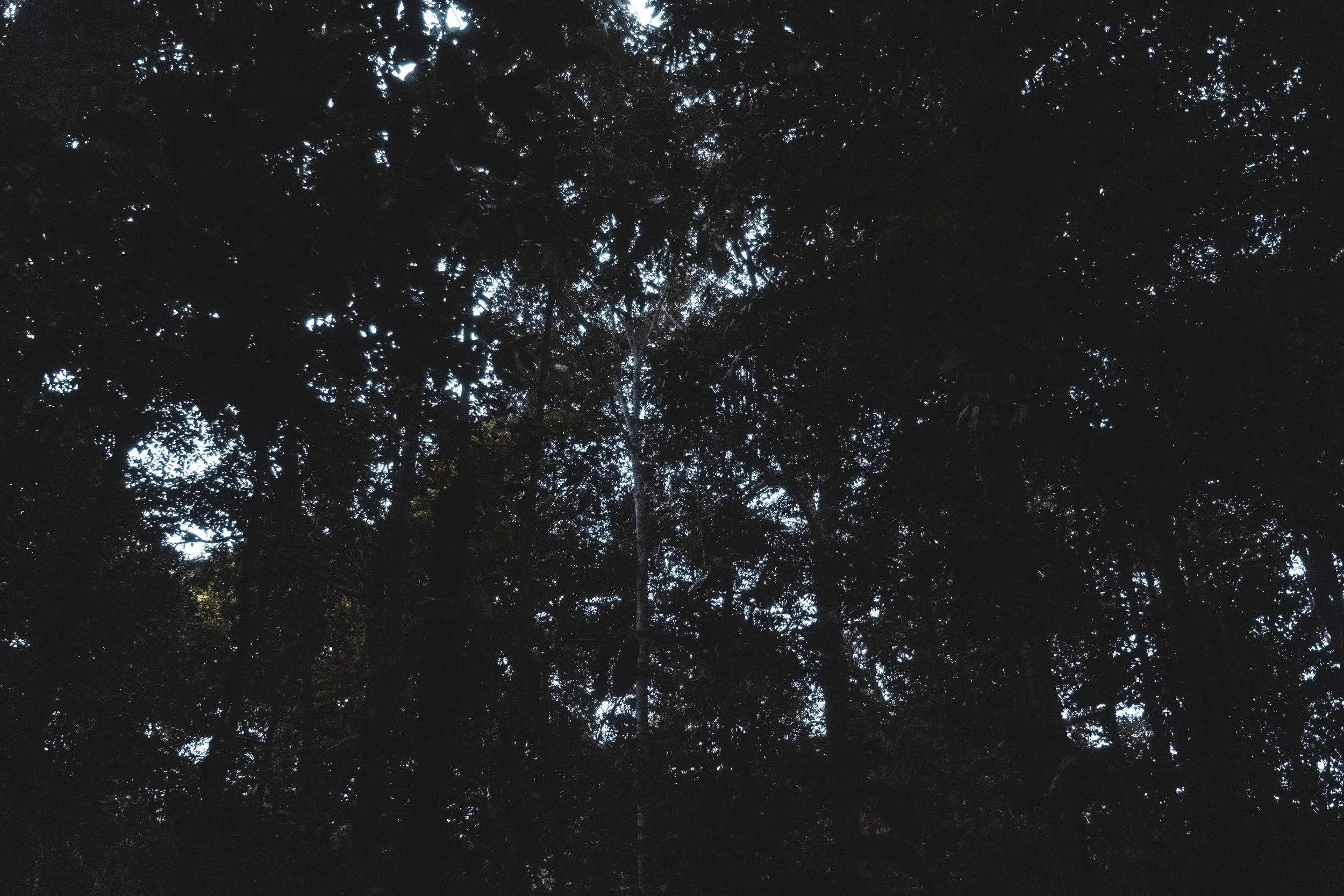 DSCF3913.jpg