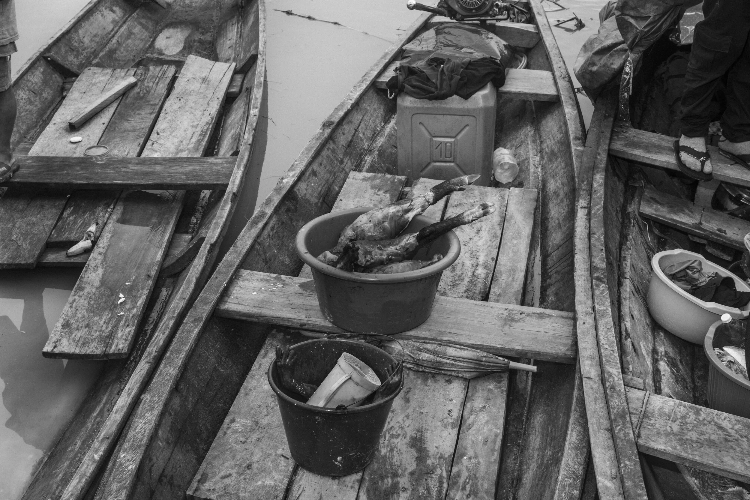 Mayuruna hunters return by canoe to the village of Flores, in the Vale do Javari Indigenous Territory, carrying buckets filled with tapir legs and monkey arms after several days of hunting along the Curuçá River.