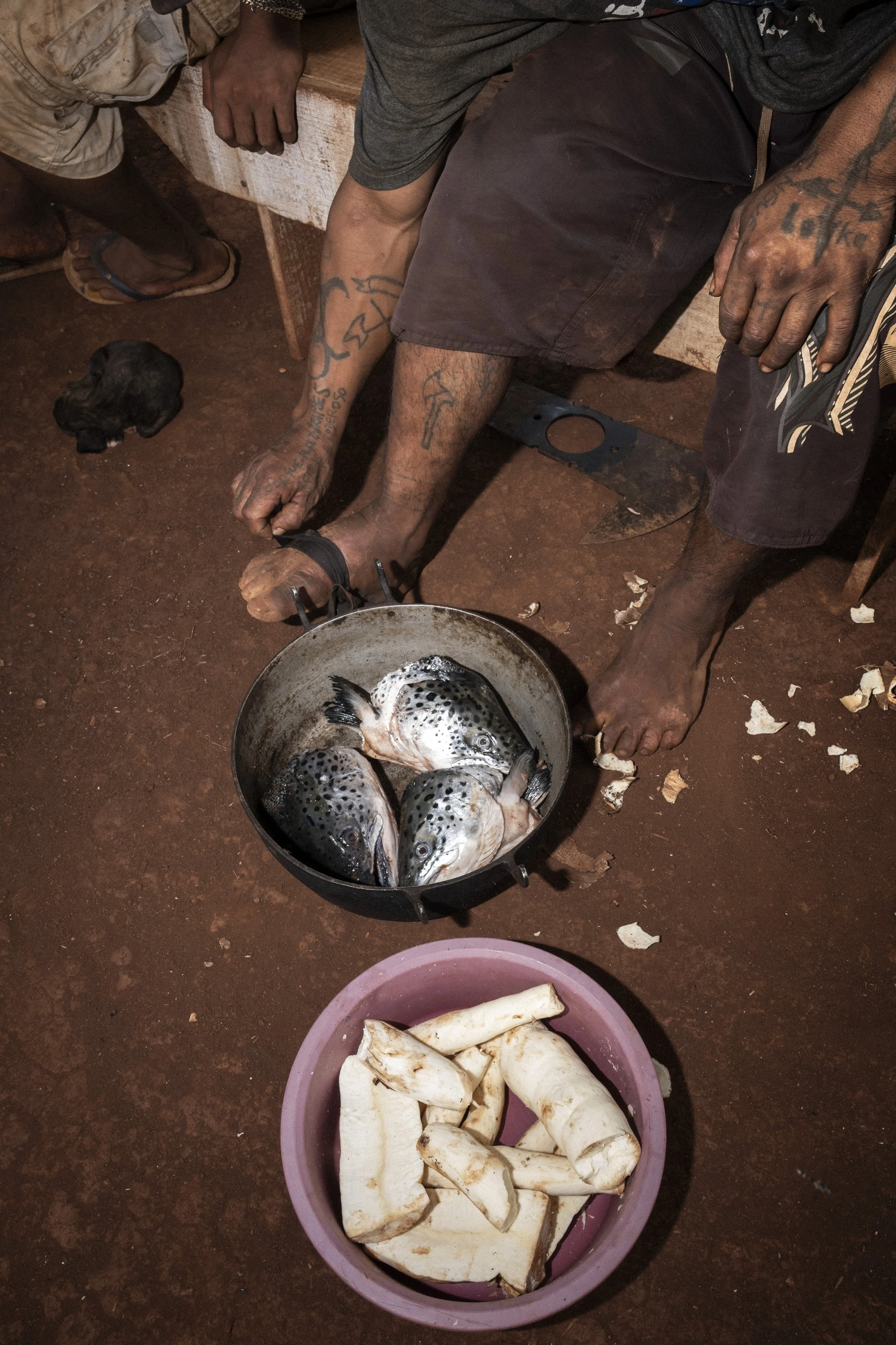 Mandioca e cabeças de peixe no acampamento indígena Ywuverá, em Dourados (MS). Para alguns moradores, esta é a primeira refeição em dois dias. A área é reivindicada como território tradicional, mas ainda não foi reconhecida. Os Guarani-Kaiowá perdera