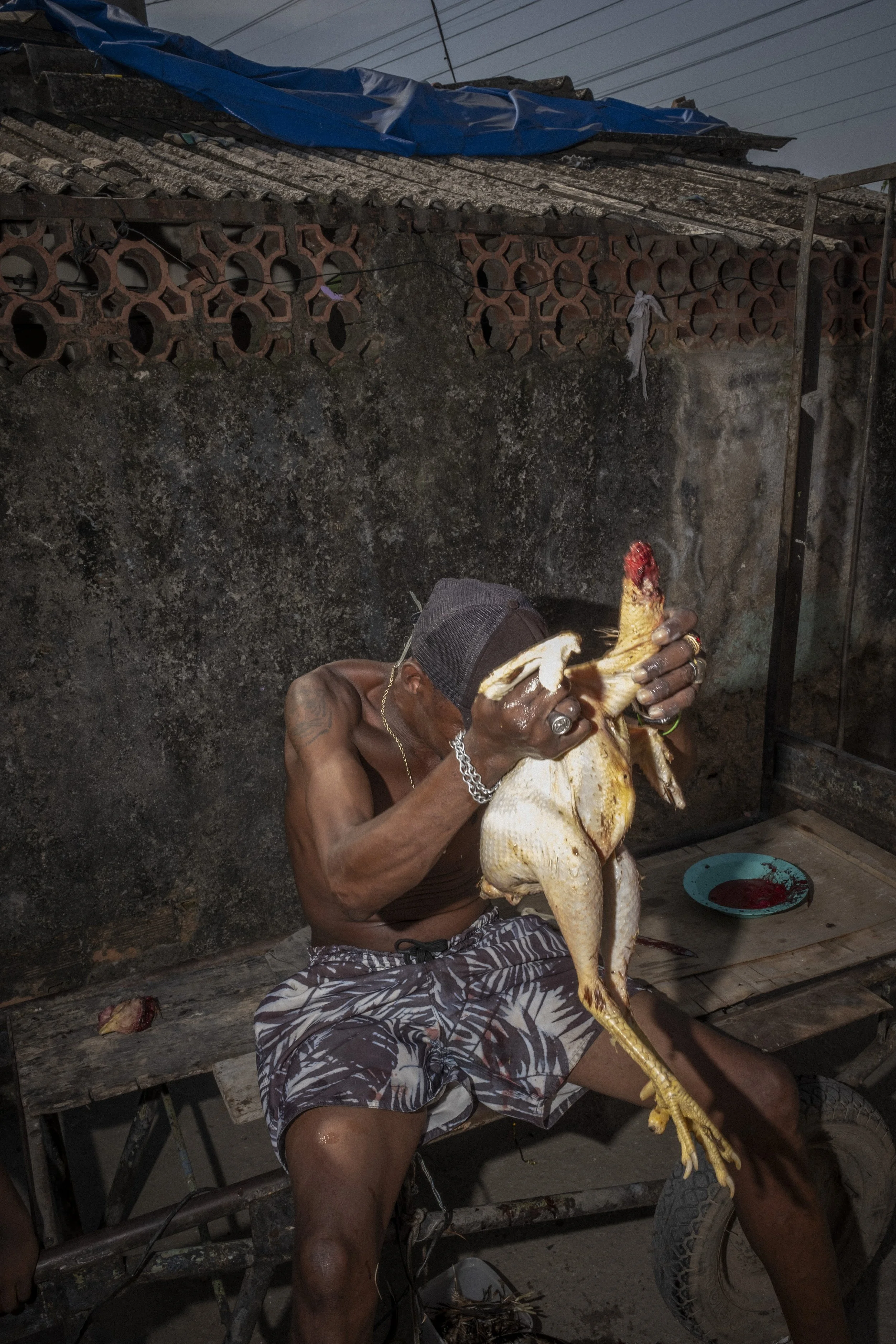 Um homem brinca e mostra uma galinha antes de cozinhá-la na favela de Jardim Gramacho, em Duque de Caxias, Rio de Janeiro.