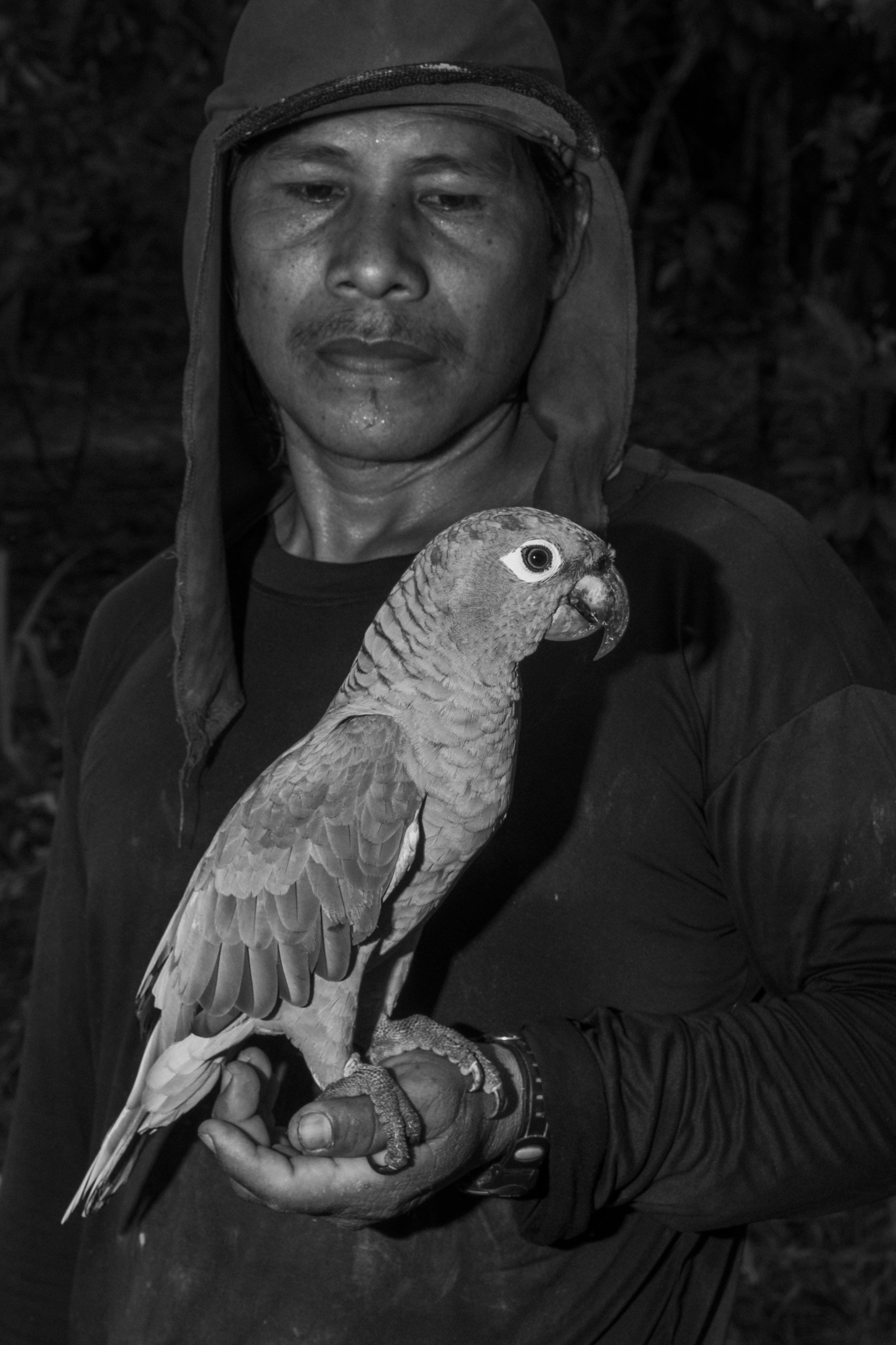 A Mayouruna man holding a parrot in Aldeia Flores, a Mayouruna Indigenous village along the Curuçá River within the Javari Indigenous Territory, Brazil.