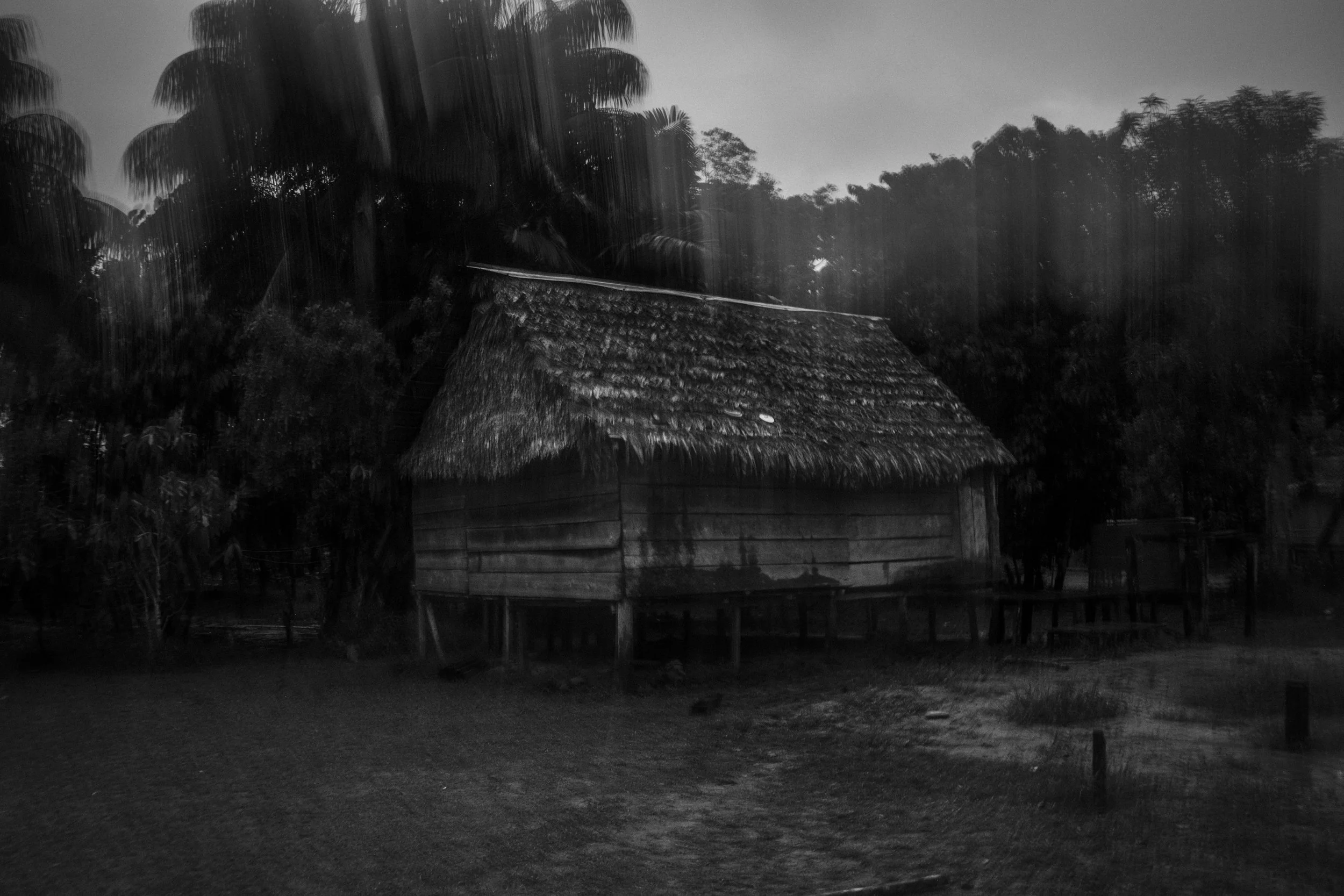 A traditional Mayoruna communal house in Flores village, within the Vale do Javari Indigenous Territory, Amazonas, Brazil.