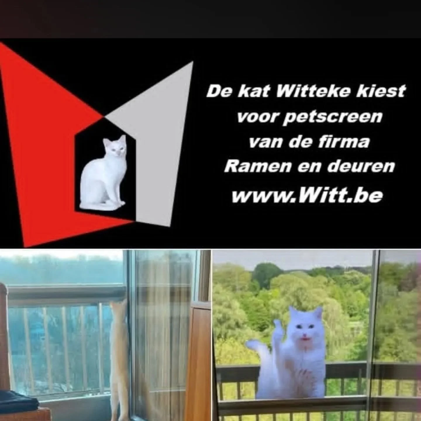 Met dank aan paul.👌👌👌