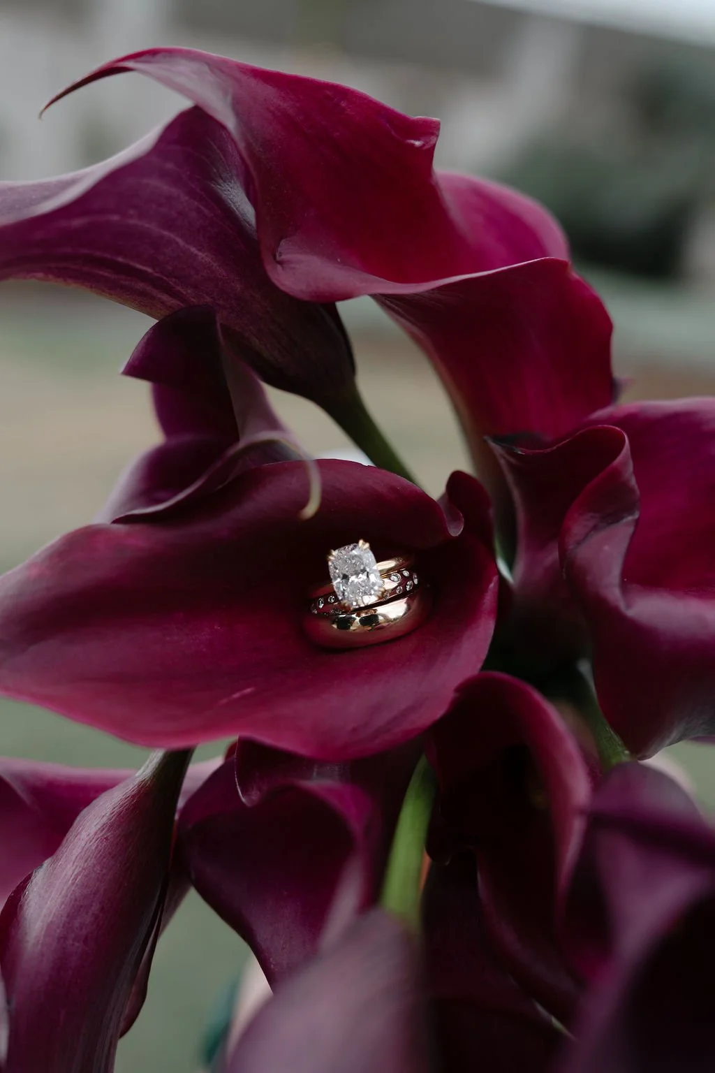 CYS-T+BWeddingSP-171.jpg