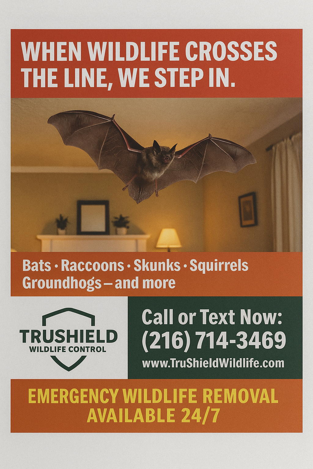 Bat removal and attic exclusion services in Akron, Ohio by certified wildlife control operator. and contact information and services like emergency wildlife removal.