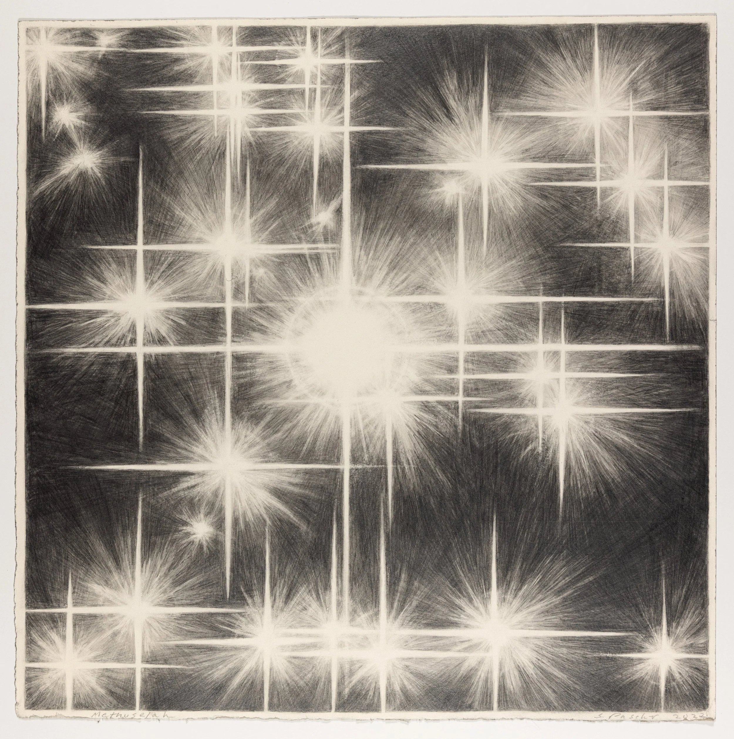 "Methuselah," graphite on paper, 2022, 18 inches x 18 inches