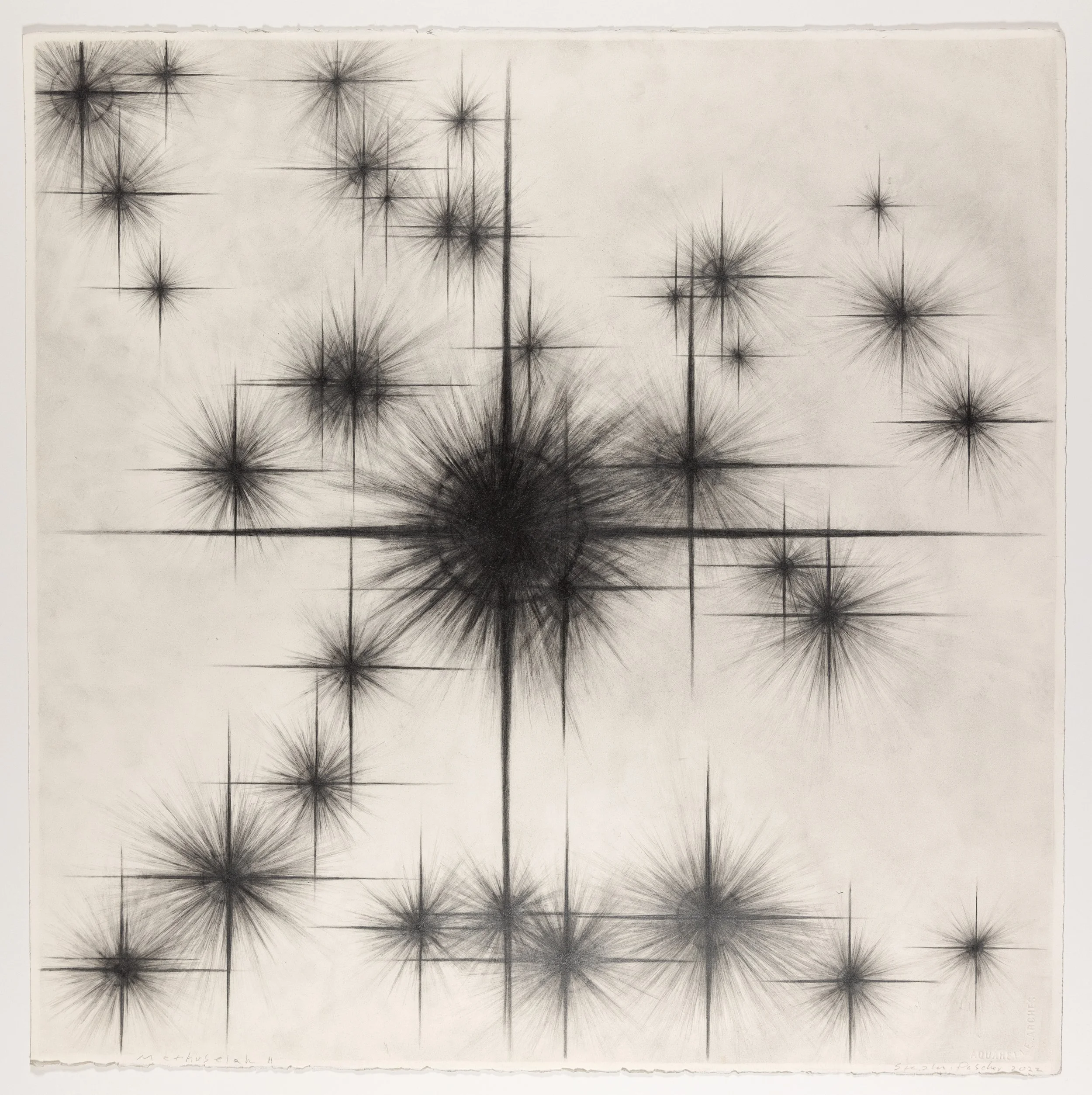 "Methuselah II," 2022, graphite on paper, 22 inches x 22 inches