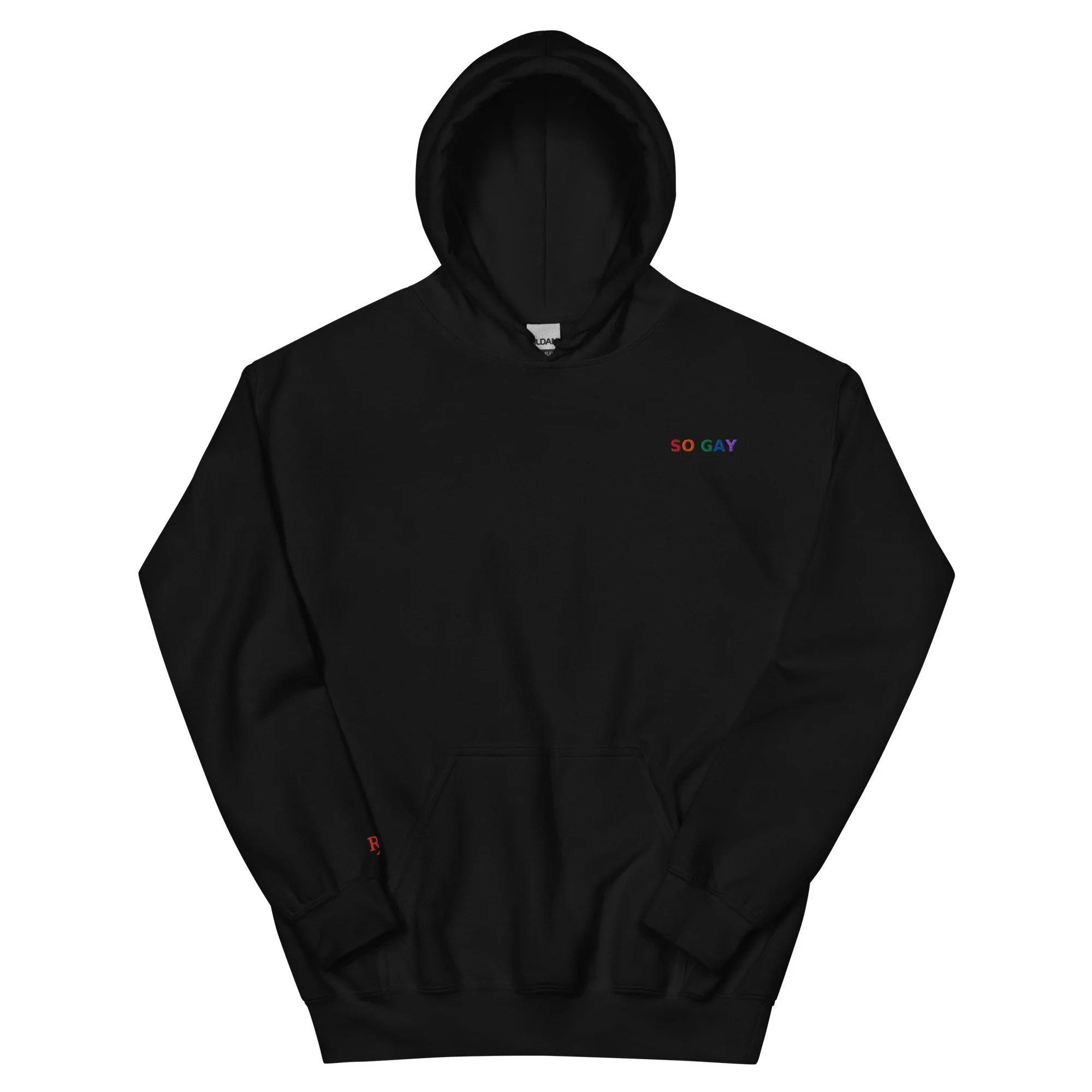 unisex-heavy-blend-hoodie-black-front-6875323f8be29.jpg