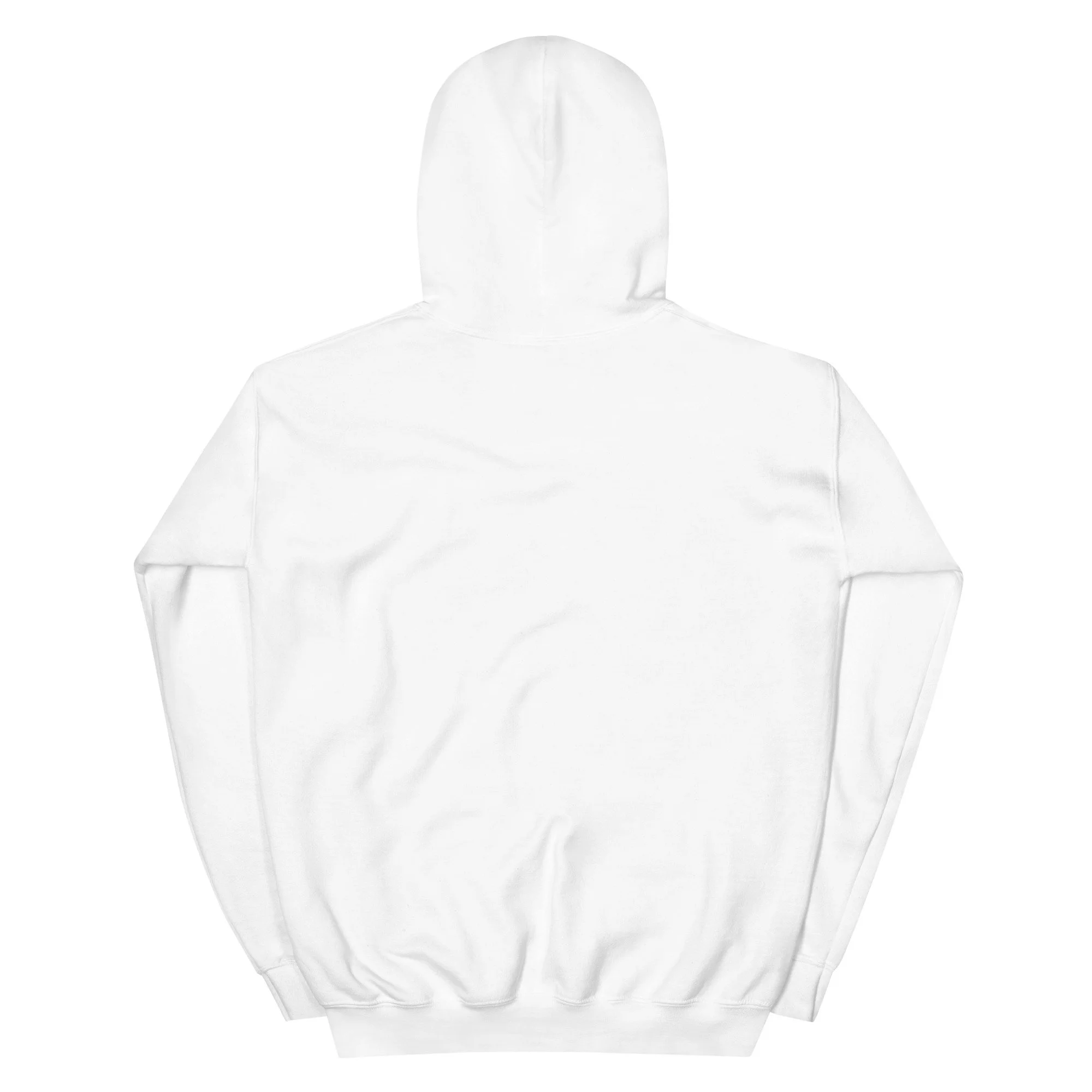unisex-heavy-blend-hoodie-white-back-68891a7c59830.jpg