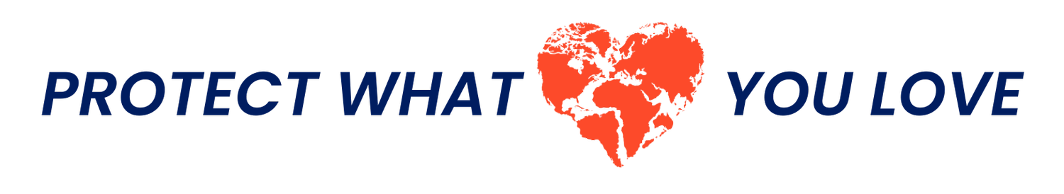 FOSSIL FUEL NON-PROLIFERATION TREATY INITIATIVE (Copy)