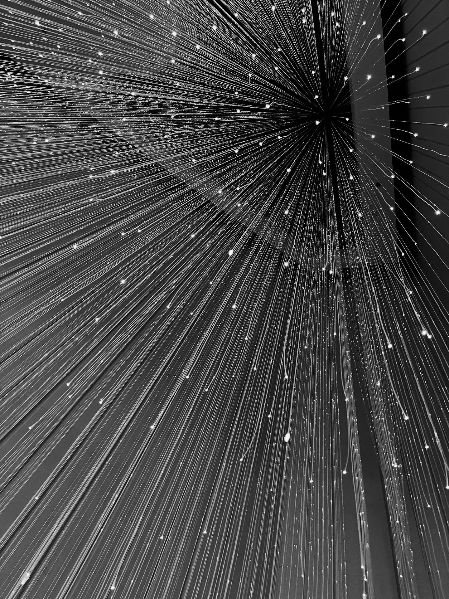 Went to go see Clue the play this weekend at the #bjcc and they had this really interesting light fixture. So cool to see these unique designs in #birmingham!