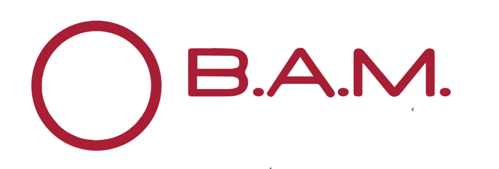 Bay Area Mechanical LLC