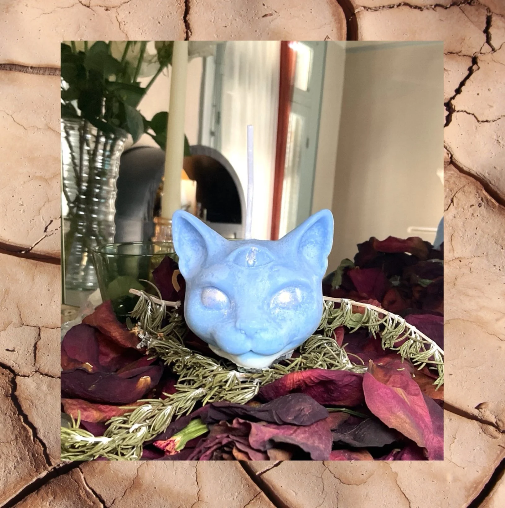 IMG_3276.PNG