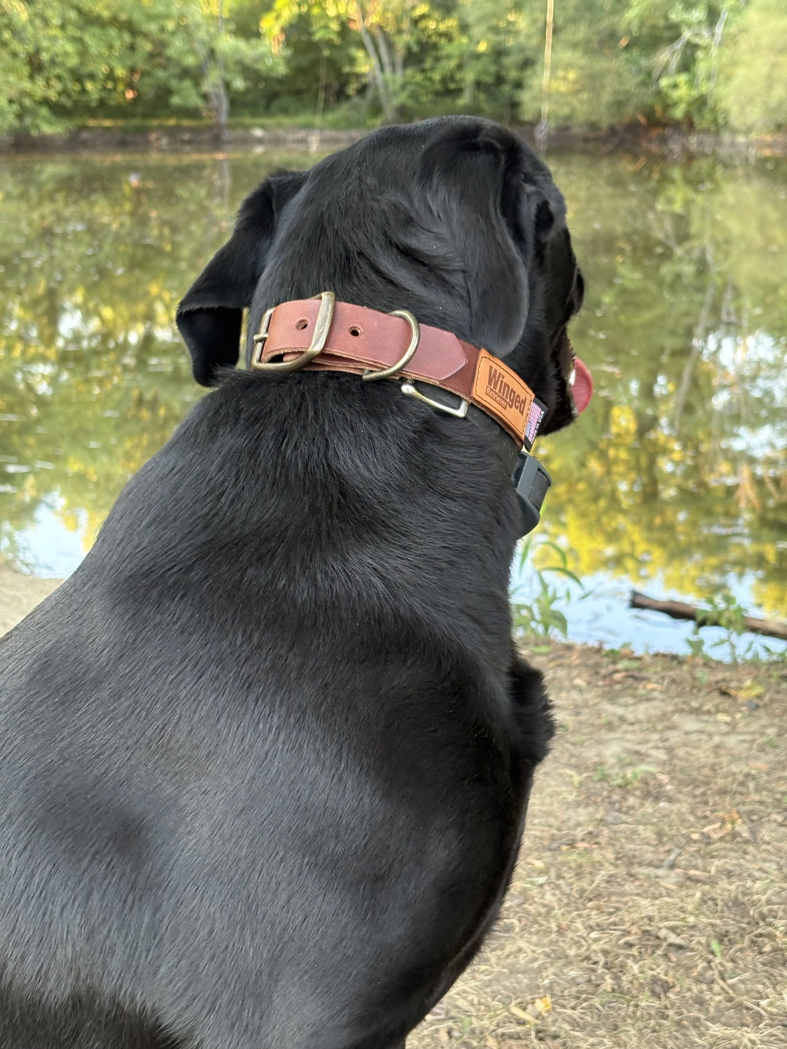 Cindys Mallard_Leather-Ivy; Web1 IMG_0074[1].JPG