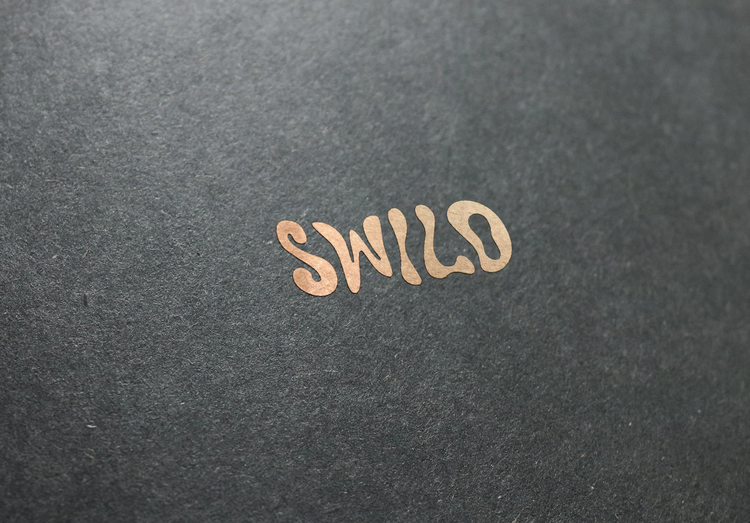 Close-up of a black surface with the word 'SANS' written in pinkish-beige font near the bottom right corner.