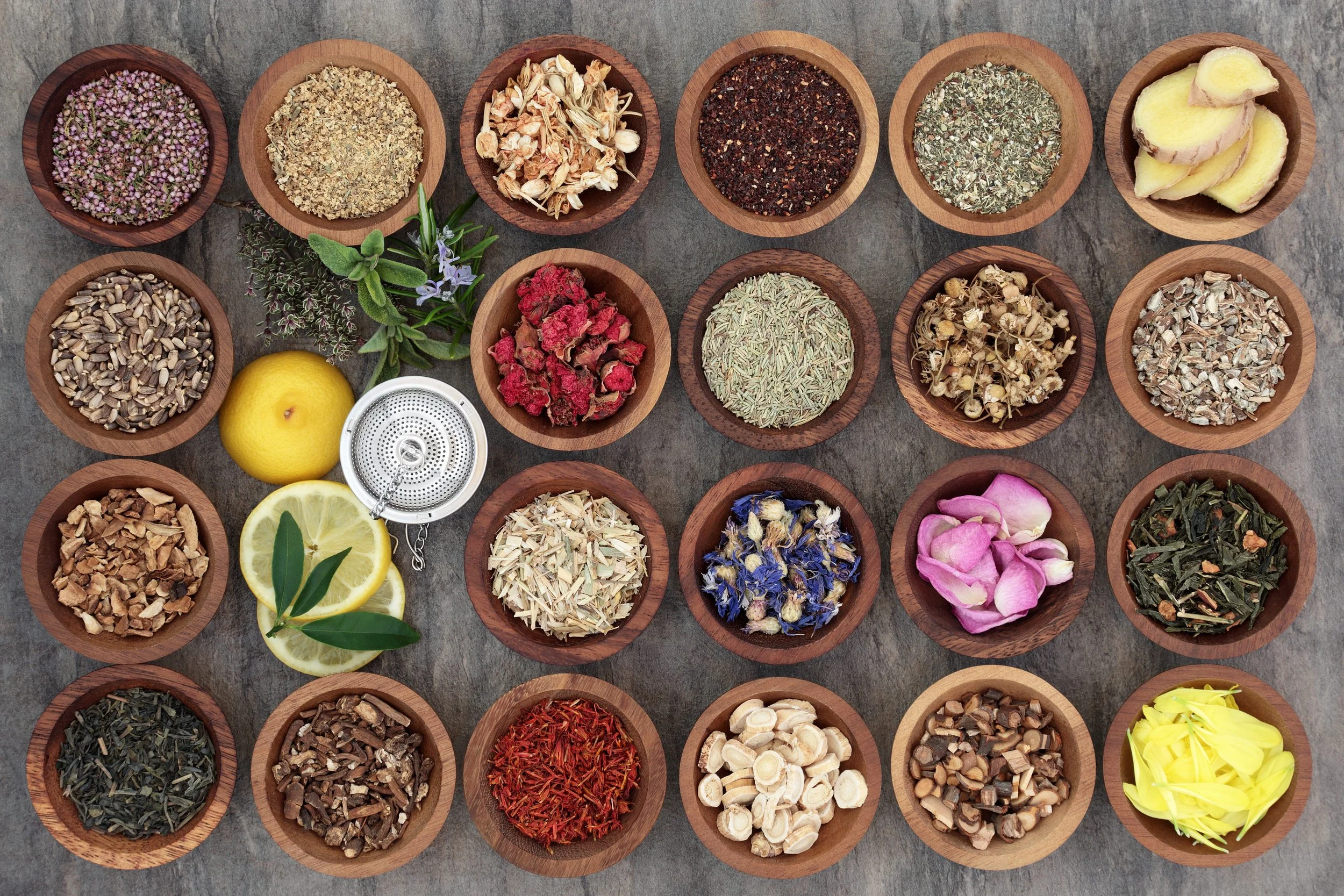 Herbal medicine integrative oncology SIO 2025 conference