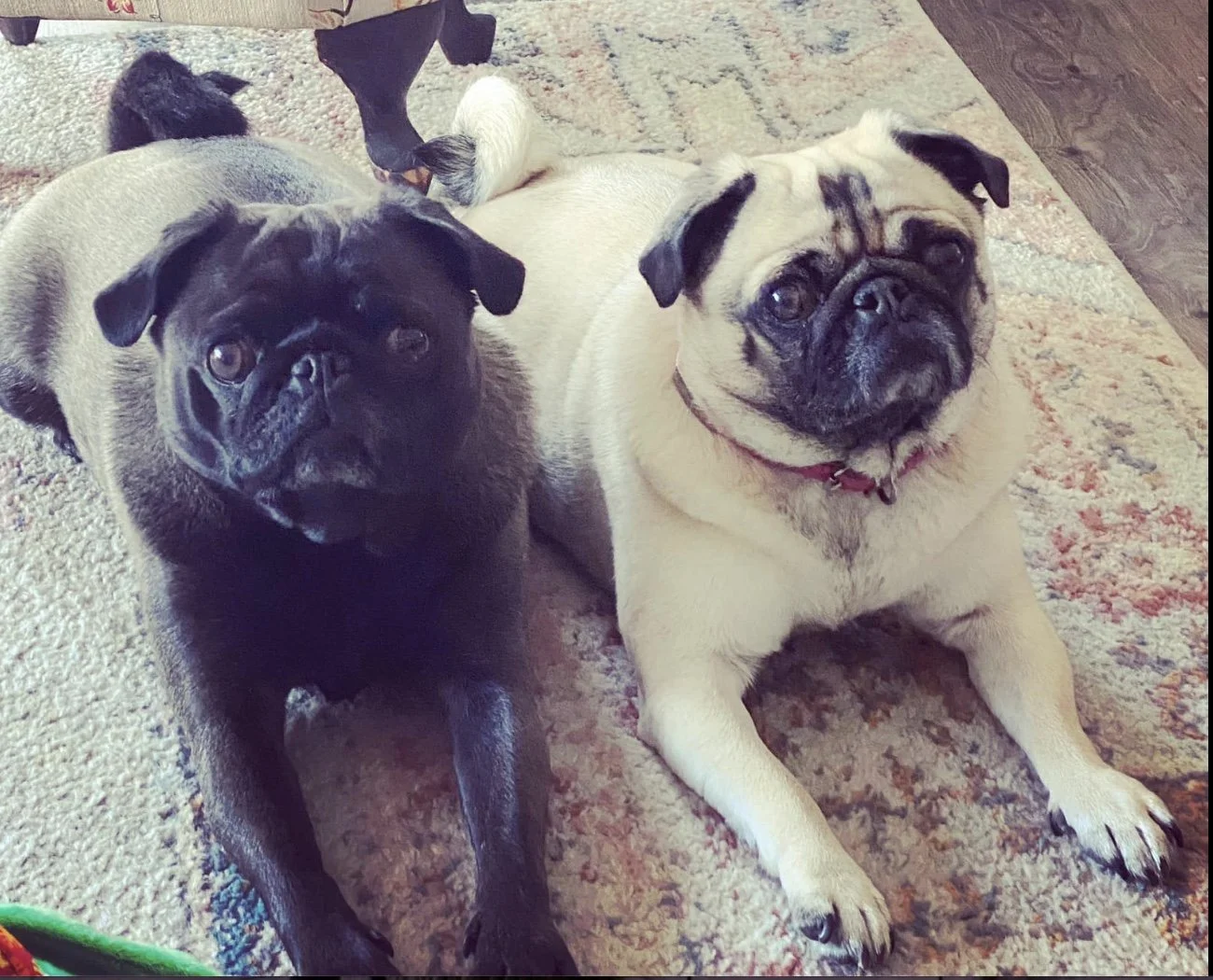 Image 5-21-25 at 4.52 PM.jpeg