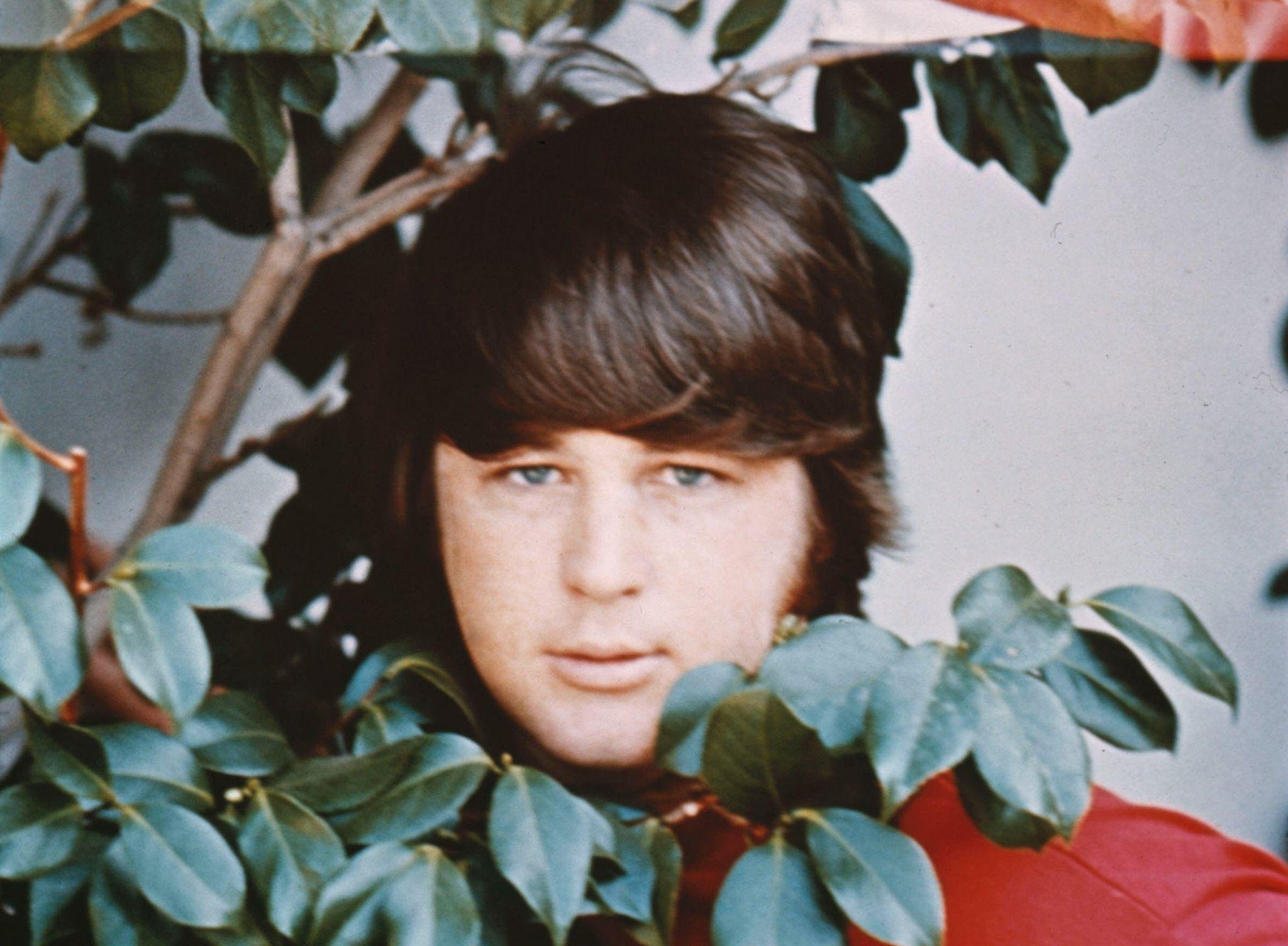 In My Room - Remembering Brian Wilson