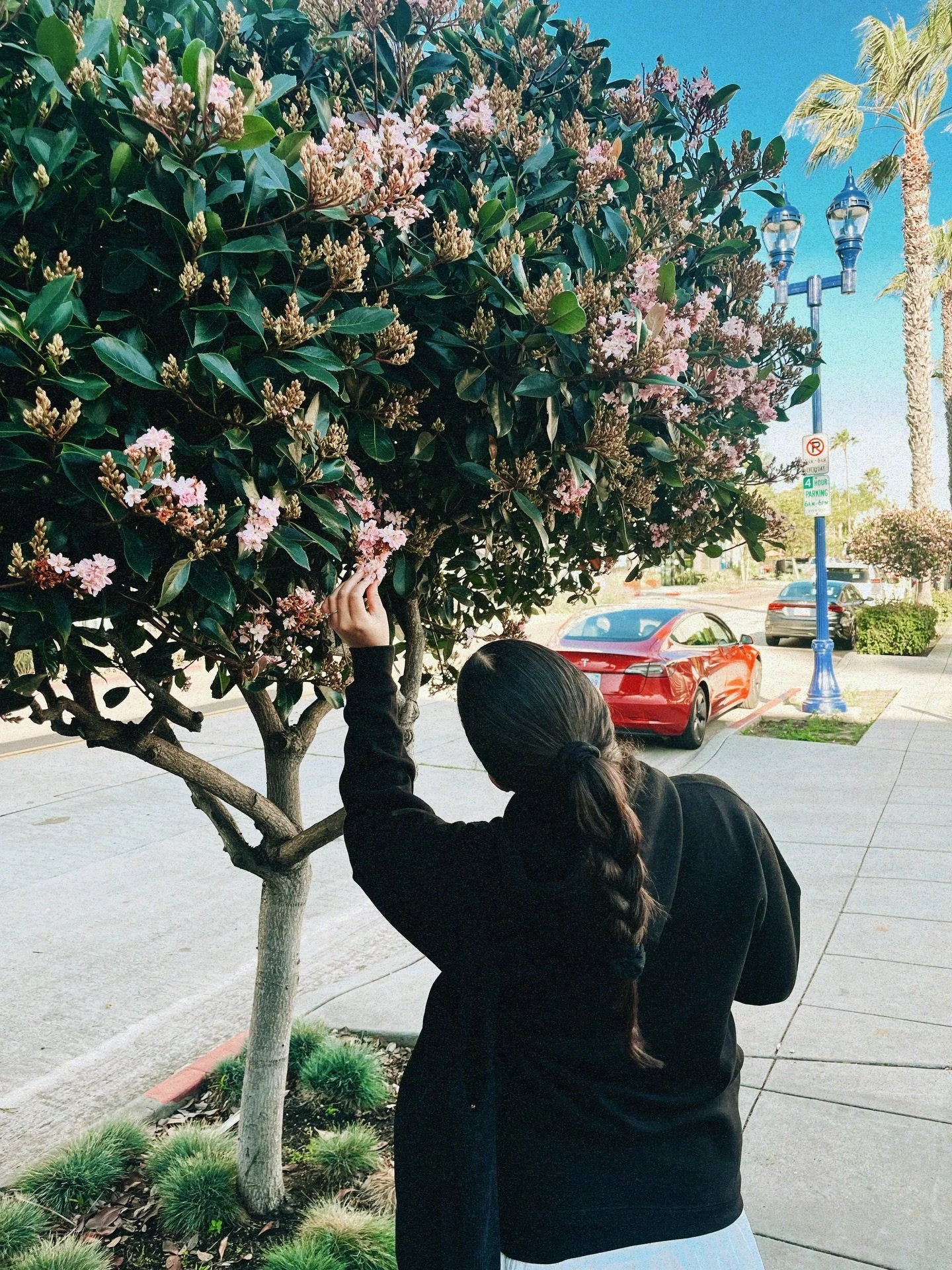 grateful to be in rooms where Jesus is lifted high. I left California with a full heart, an inspired mind, and so many new friends! grateful to God for this wonderful week. 🤍

Bless God Summit 2026 🌊