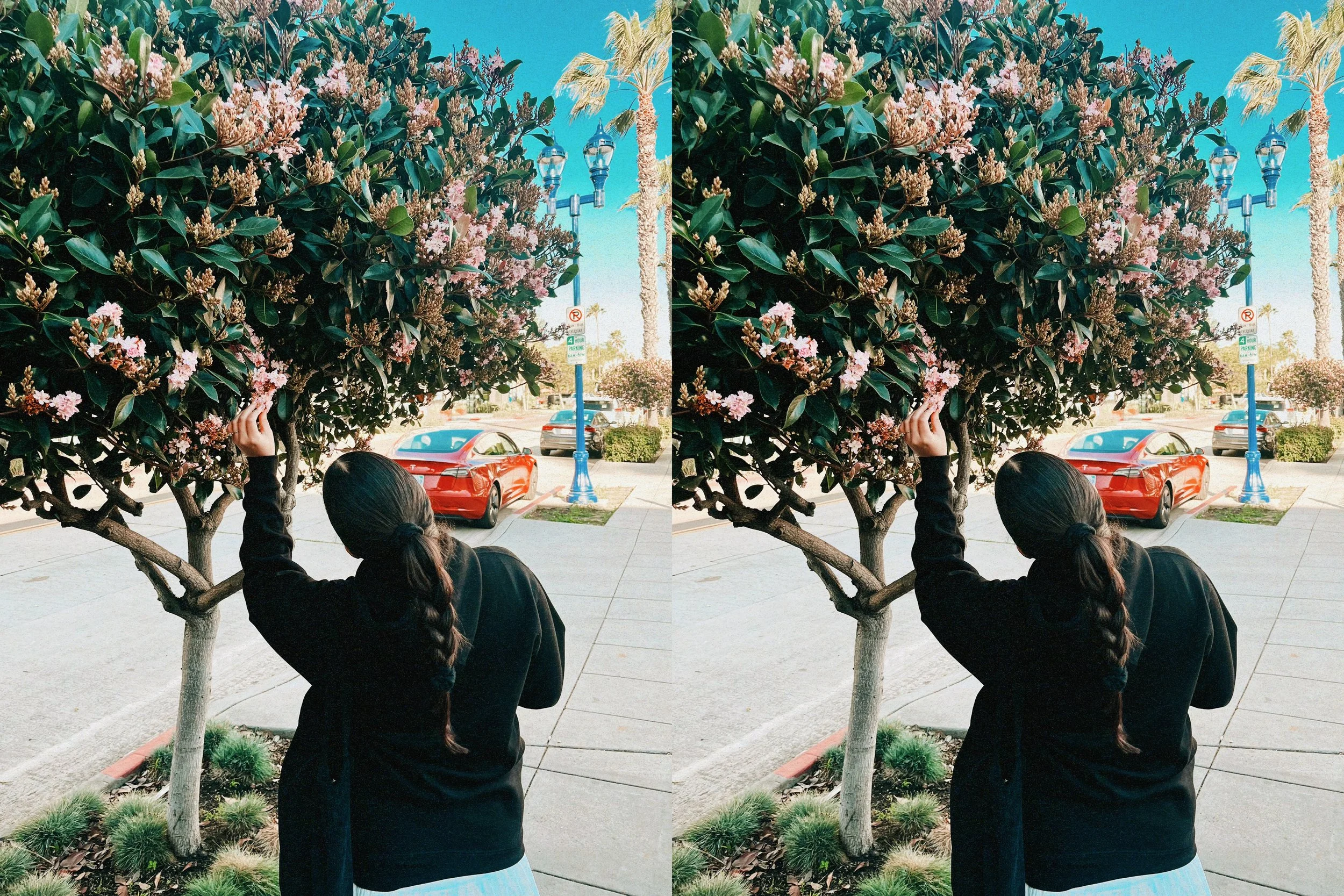 Sarah’s Mailbox | March 2026