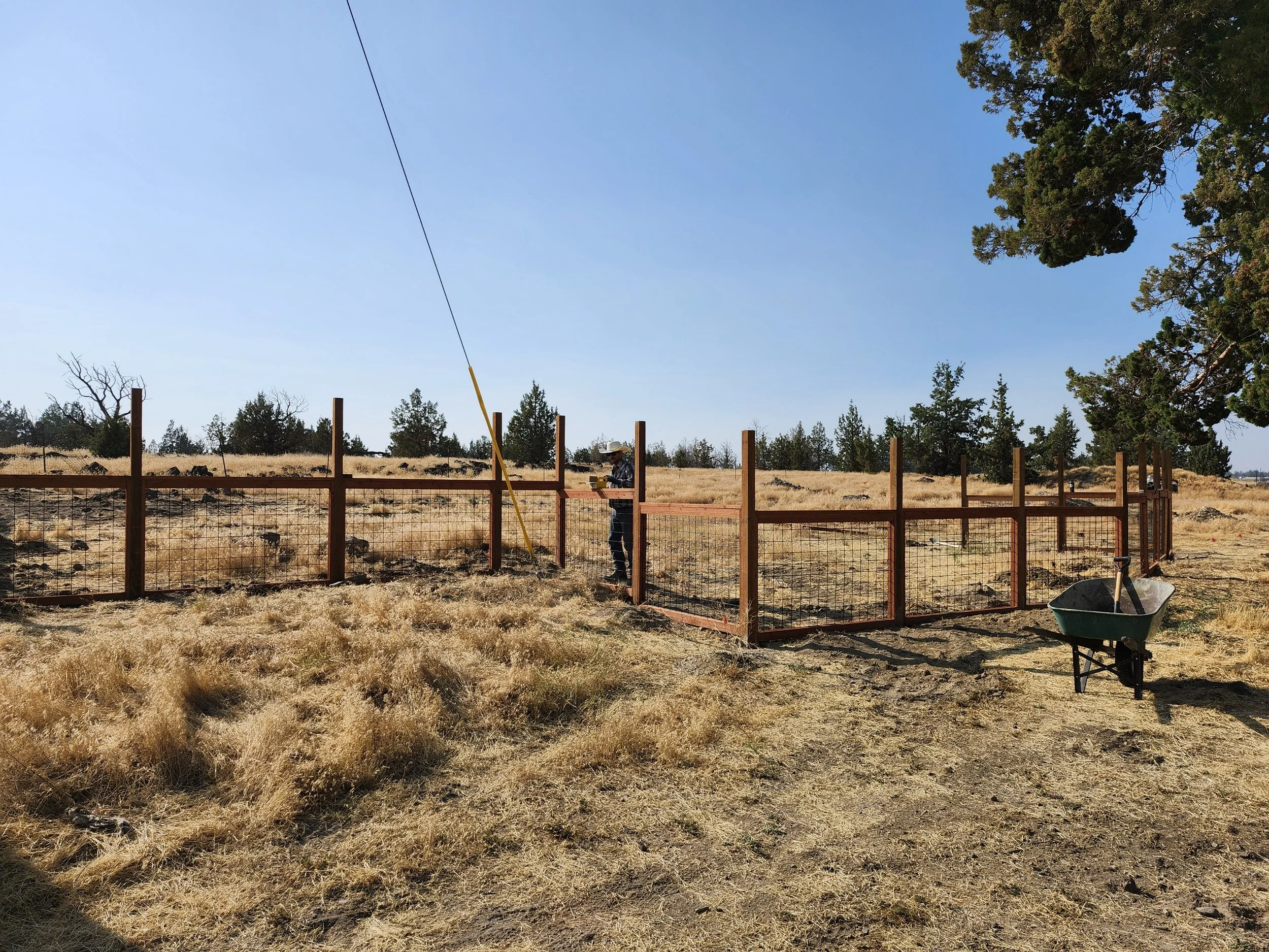 A person standing inside a new fenced enclosure in a dry, grassy field under a blue sky, with a wheelbarrow nearby and trees in the background.