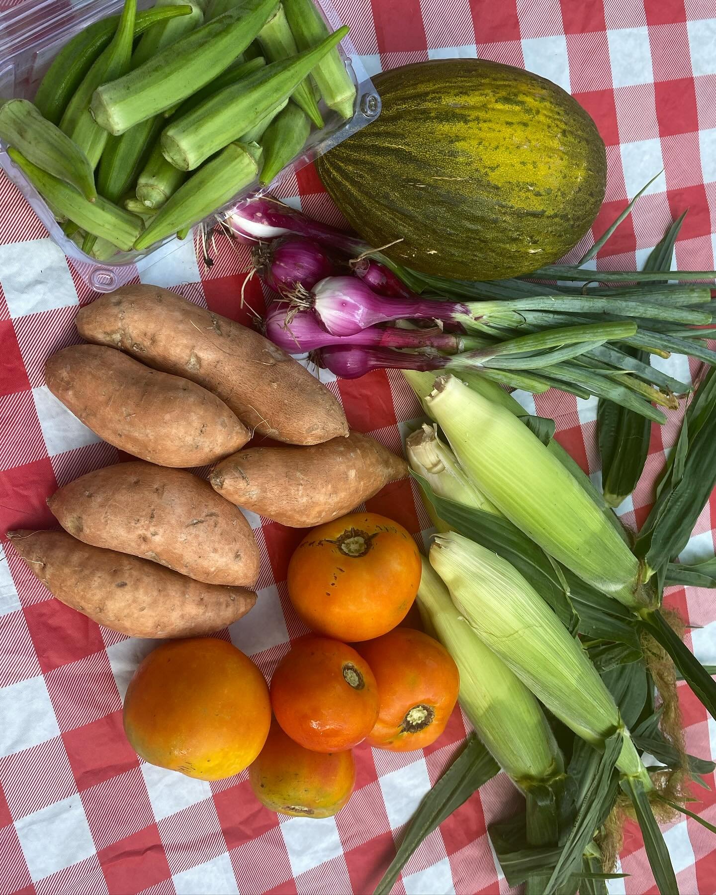 See what’s in the bag for our #EPFarmFresh #CSA pickup/delivery this week! So thankful for our customers on St. Helens & Lady’s Island and Beaufort helping to keep small farmers on the farm year round. There’s still time to sign