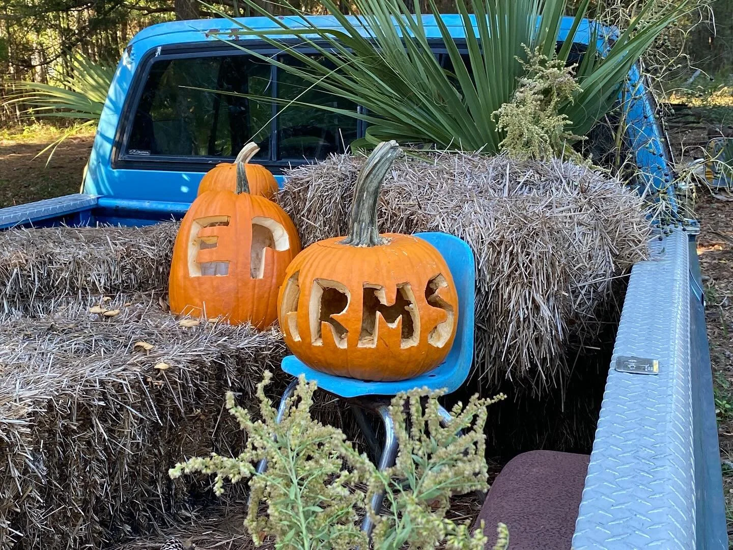 We had an incredible open house for #AncestorDay. Thanks to all who came out to help us celebrate a Happy 3rd anniversary of the #EPfarmacy!! #smallfarmbigfuture #gullahgeecheelegacy