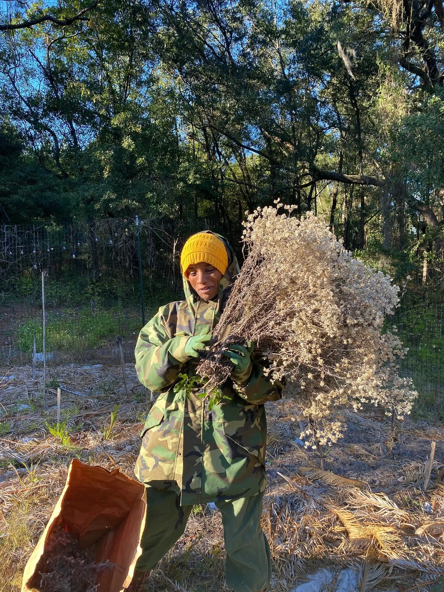 Cold snap here in the Lowcountry&hellip;but not cold enough to stop the #lifeeverlasting #harvest! Stay tuned for our new #lel holiday blends!#gullahgeecheelegacy #getyourlife #epfarms #smallfarmbigfuture