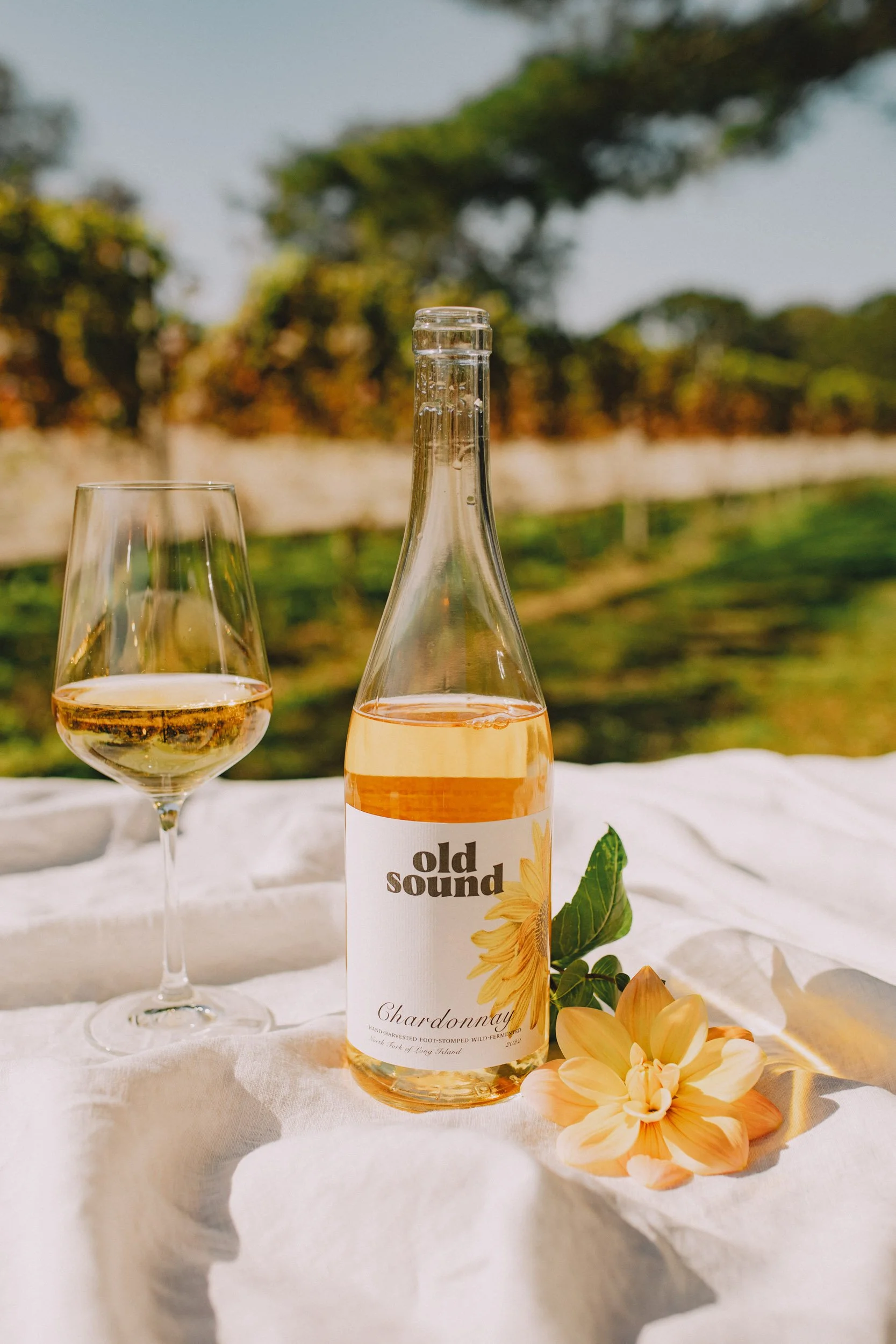 Chardonnay copy.jpg