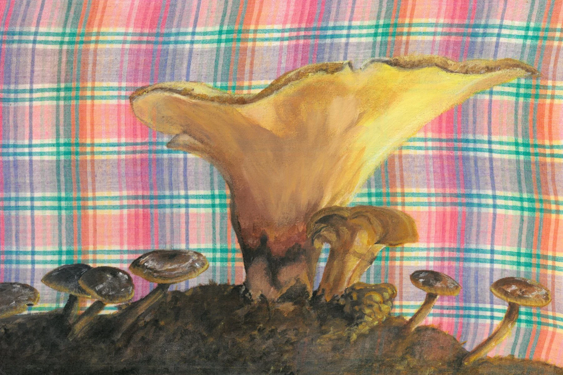 Hidden Treasures: The Intriguing World of Mycology&nbsp;