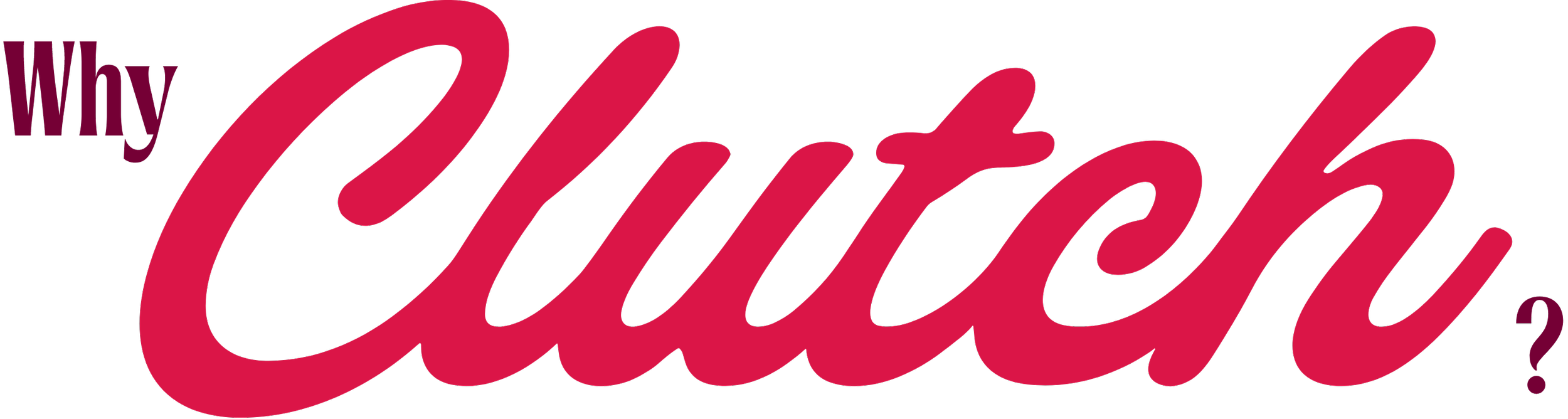 Text that reads "Why Catch?" in a stylized font with a maroon color.