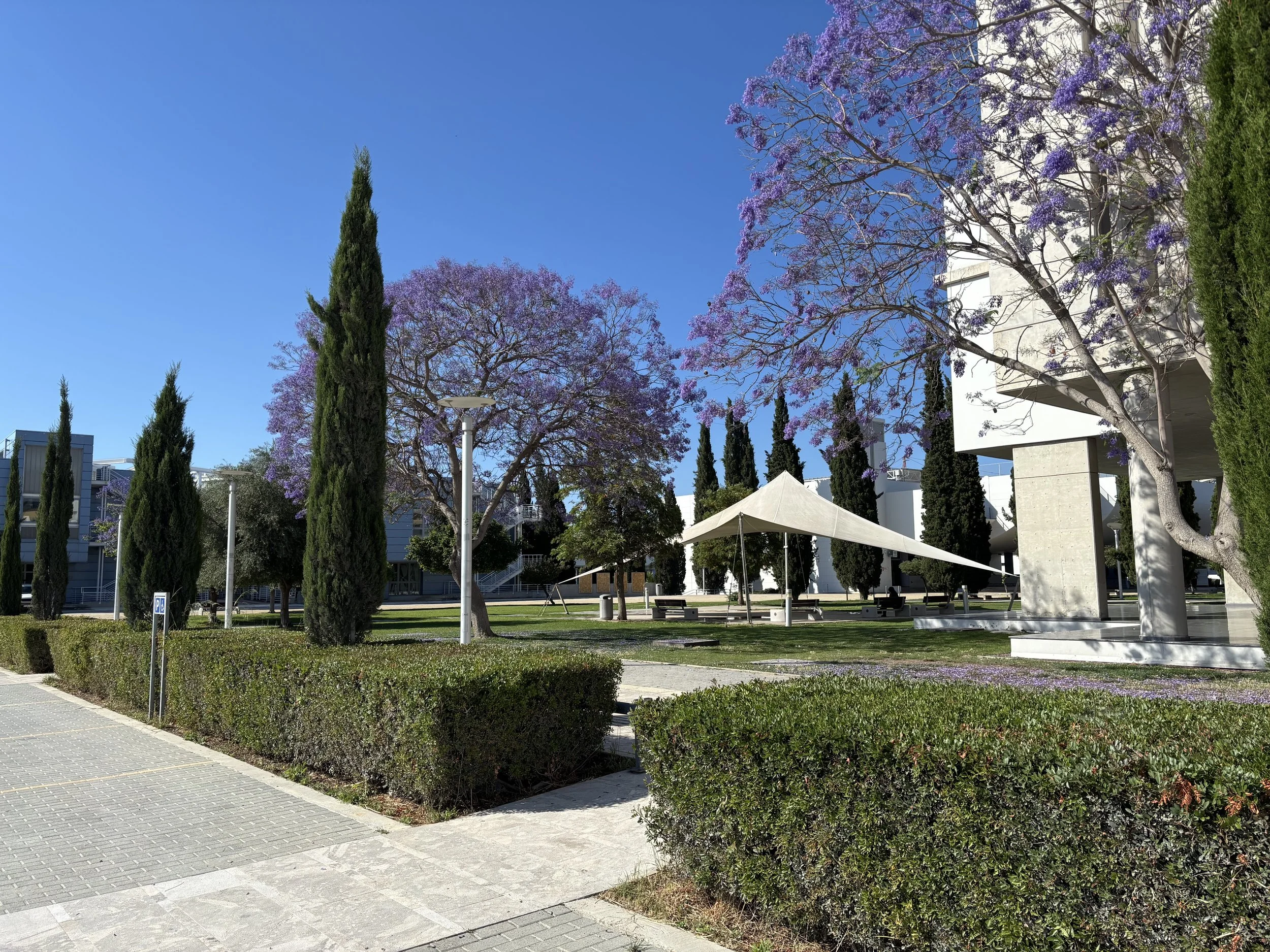 A PhD: Writing the Mediterranean, Rewriting a Life