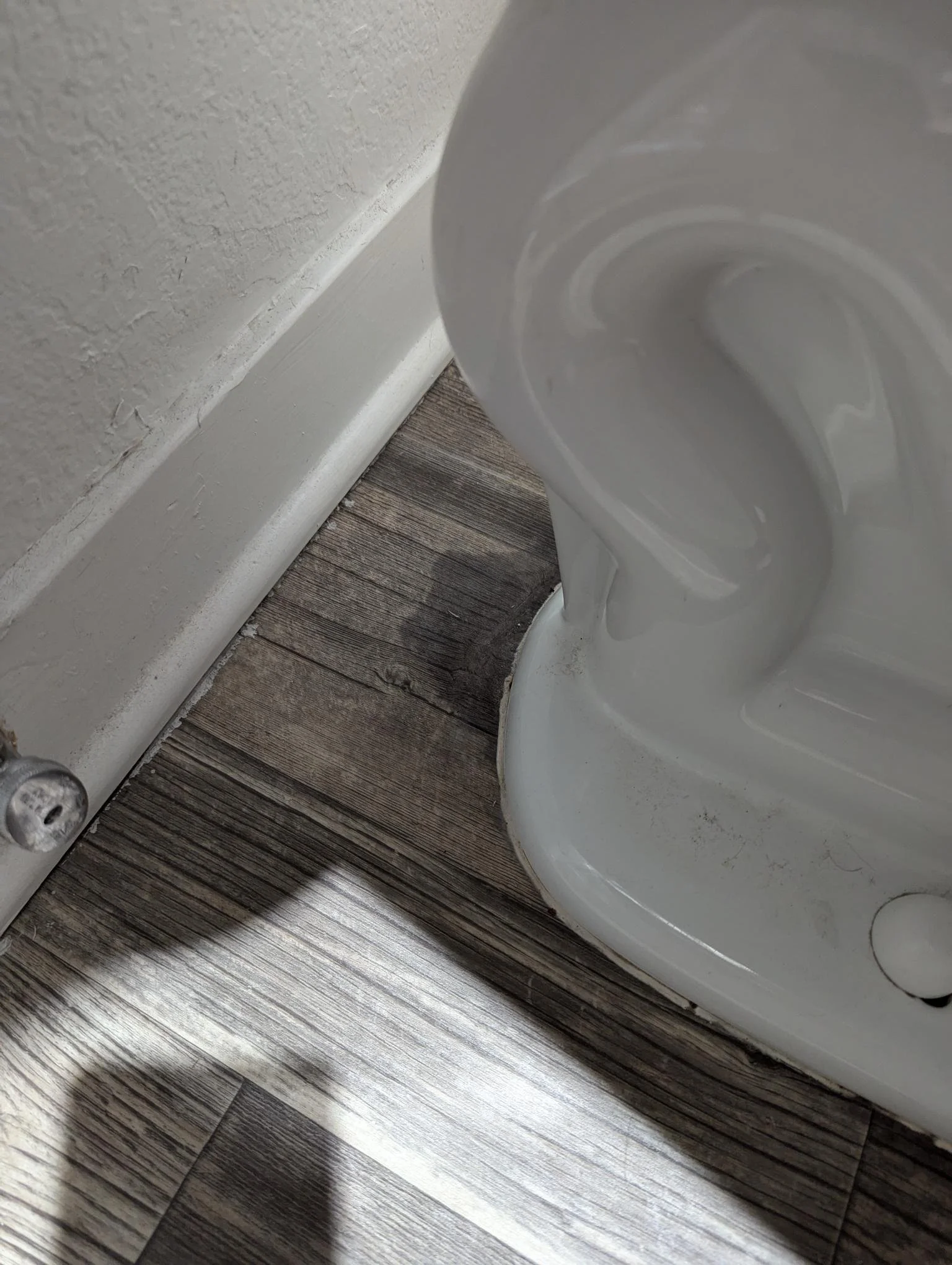 2024-06-27 - Toilet leak and wet spot.jpg